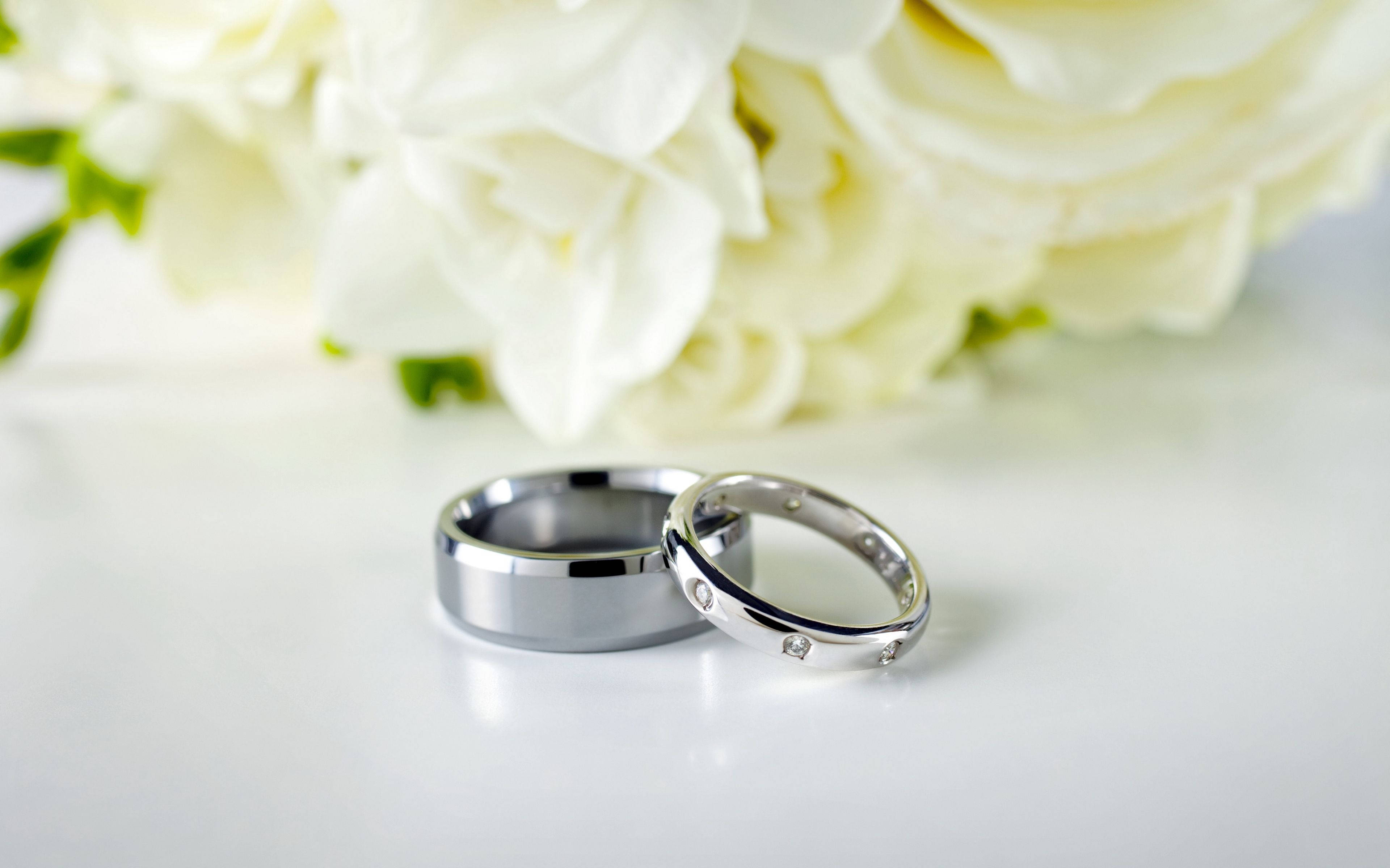 Wedding Rings 桌布 壁紙 — 兩隻時尚的銀色結婚戒指放在白色表面上，旁邊是一束柔焦的白玫瑰。