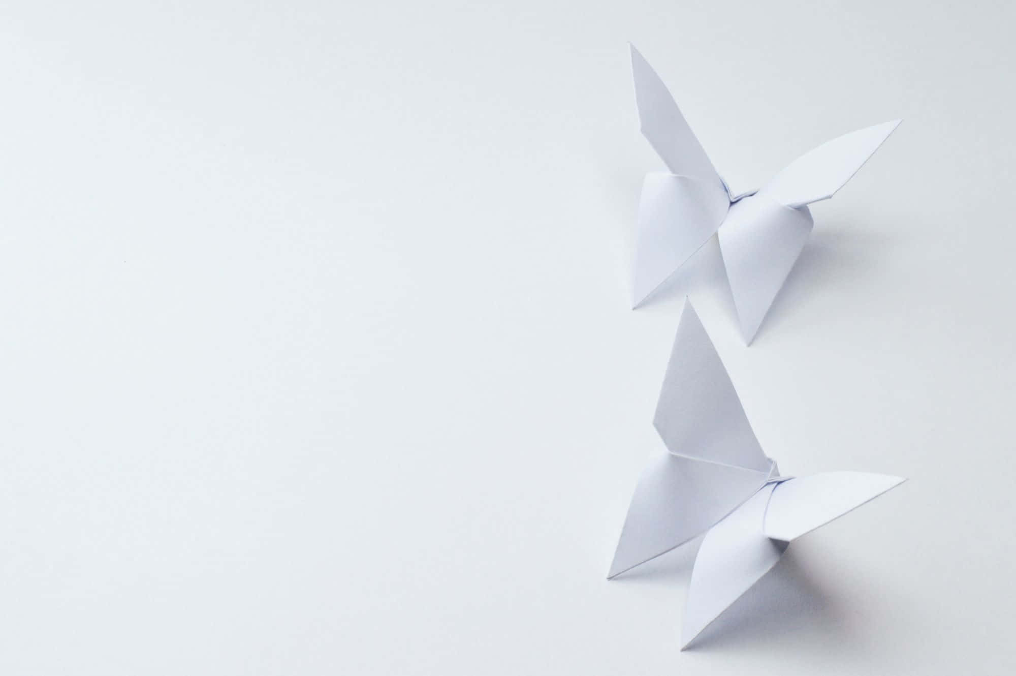 Butterfly Origami 桌布 壁紙 — 兩隻極簡風格的白色摺紙蝴蝶停在一片純白表面上，投下柔和陰影。