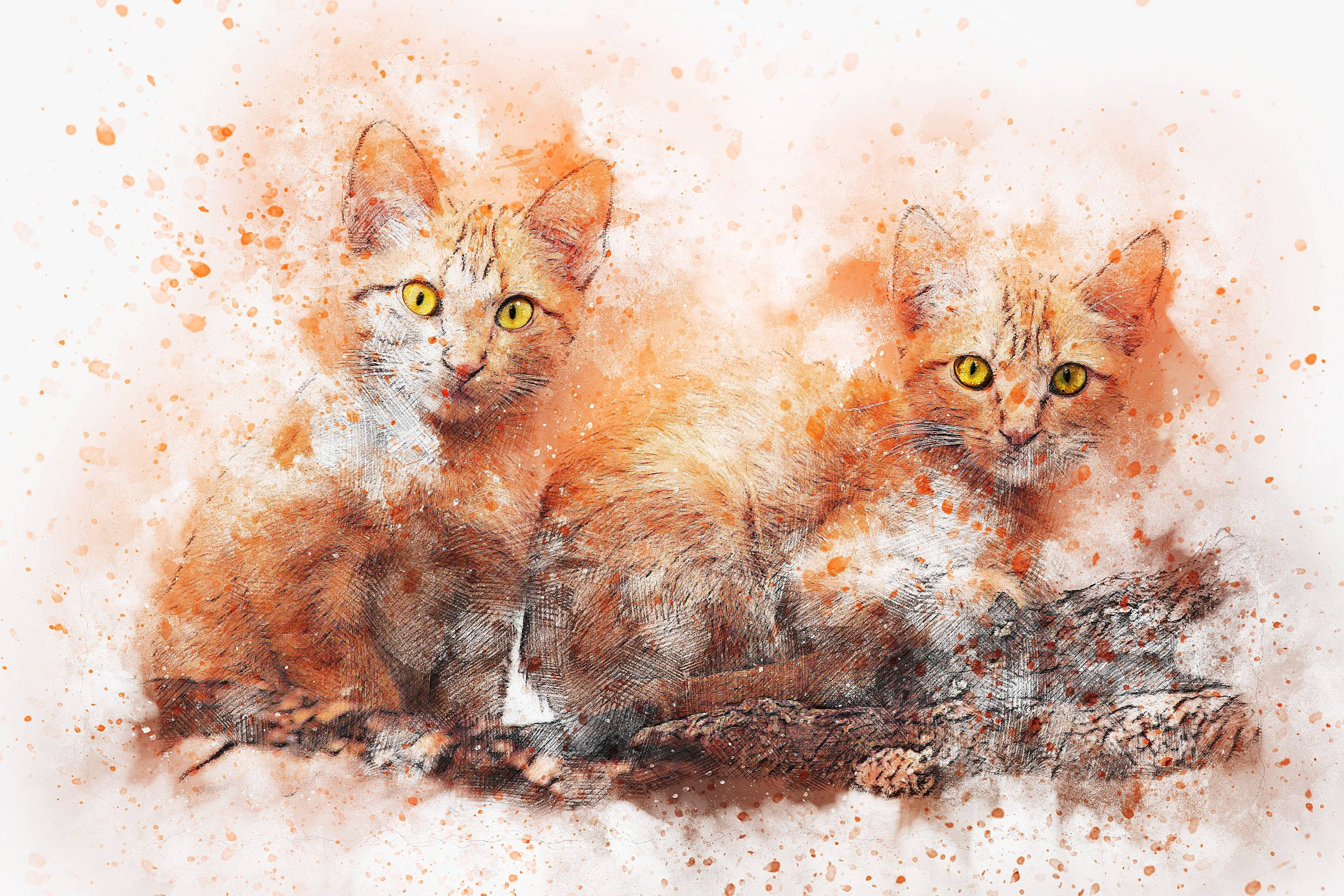 Cat Art 桌布 壁紙 — 兩隻橙色虎斑小貓咪，有著明亮的黃色眼睛，一起坐在樹枝上，背景是潑濺的水彩畫。