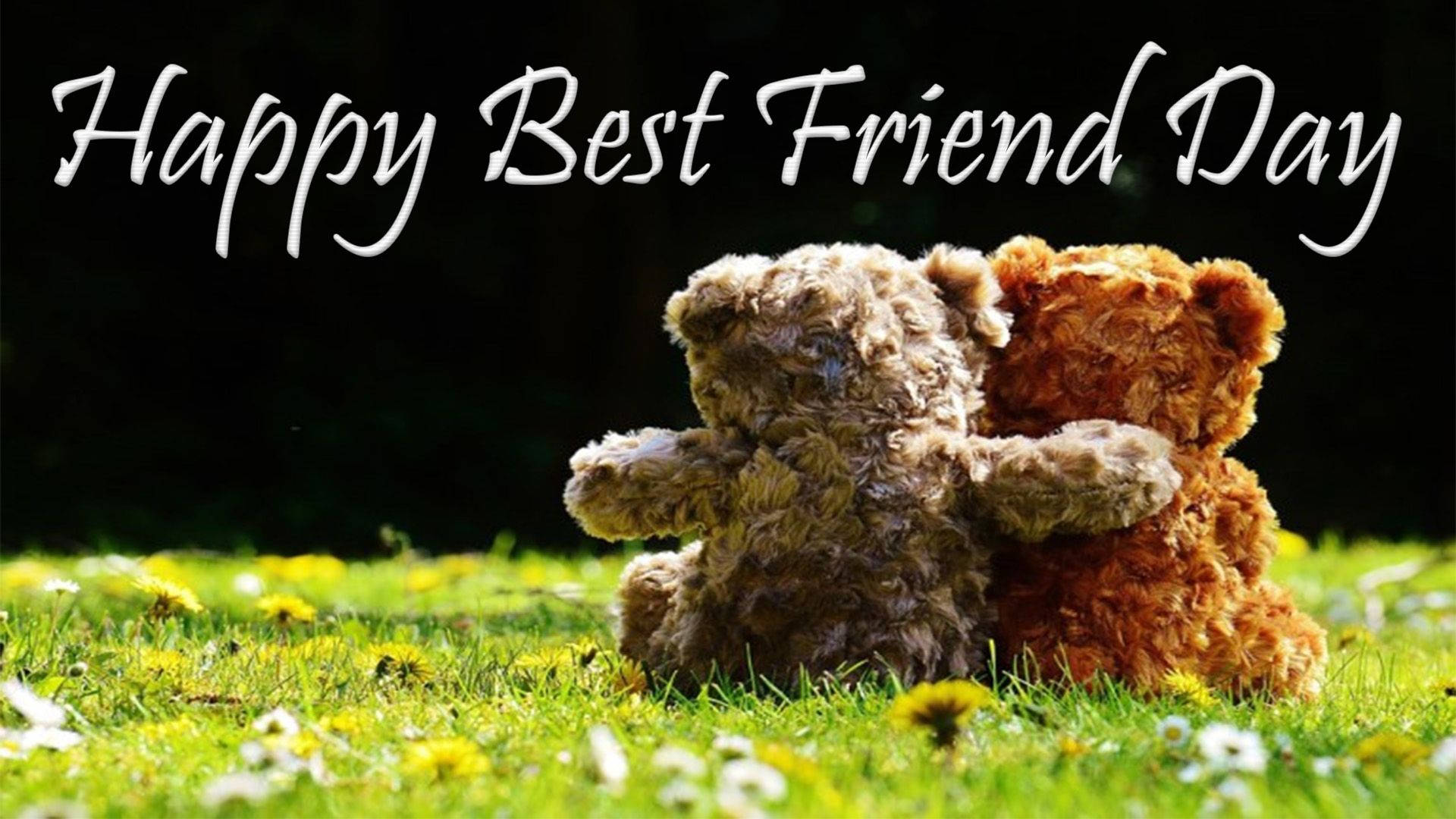 Friendship Day 桌布 壁紙 — 兩隻毛絨泰迪熊在陽光明媚、點綴著蒲公英的草地上溫暖擁抱，背景為深色。