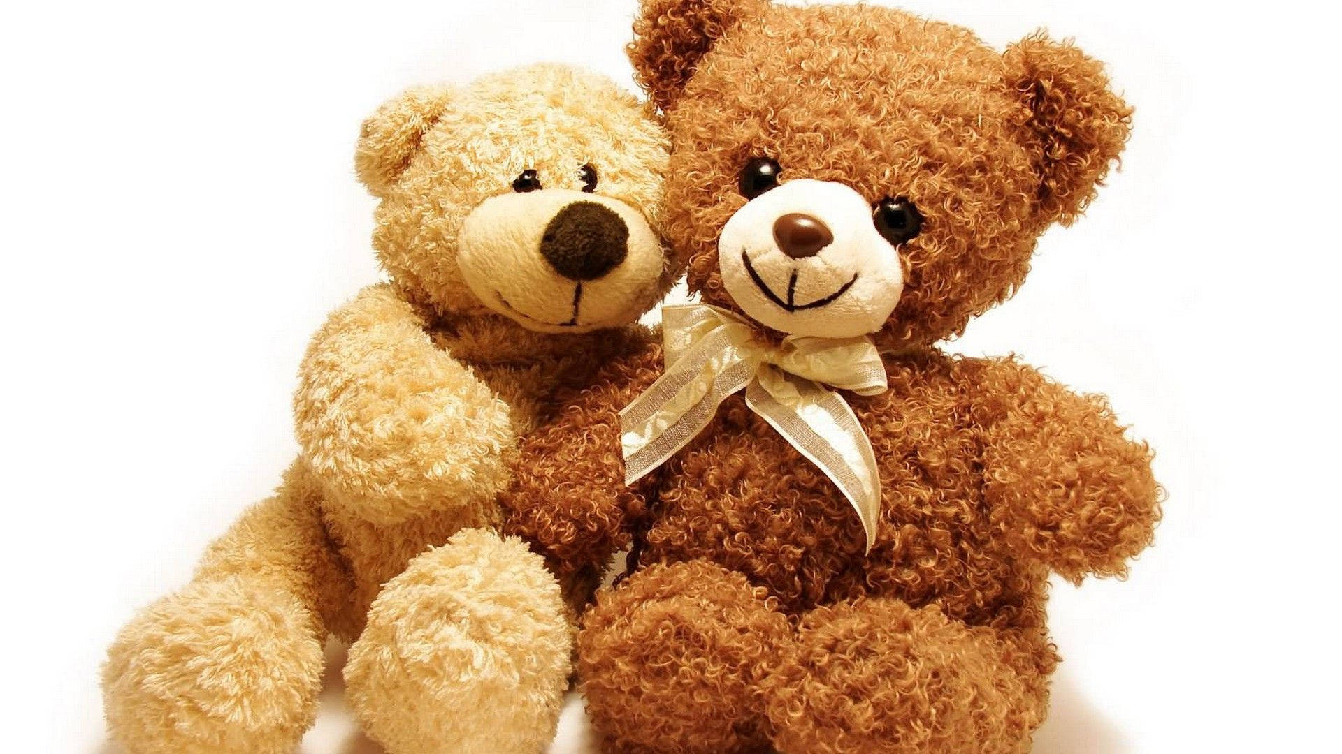 Teddy Bear 桌布 壁紙 — 兩隻毛絨絨的泰迪熊，一隻淺米色，一隻深棕色帶金色蝴蝶結，緊貼著坐在白色背景前。