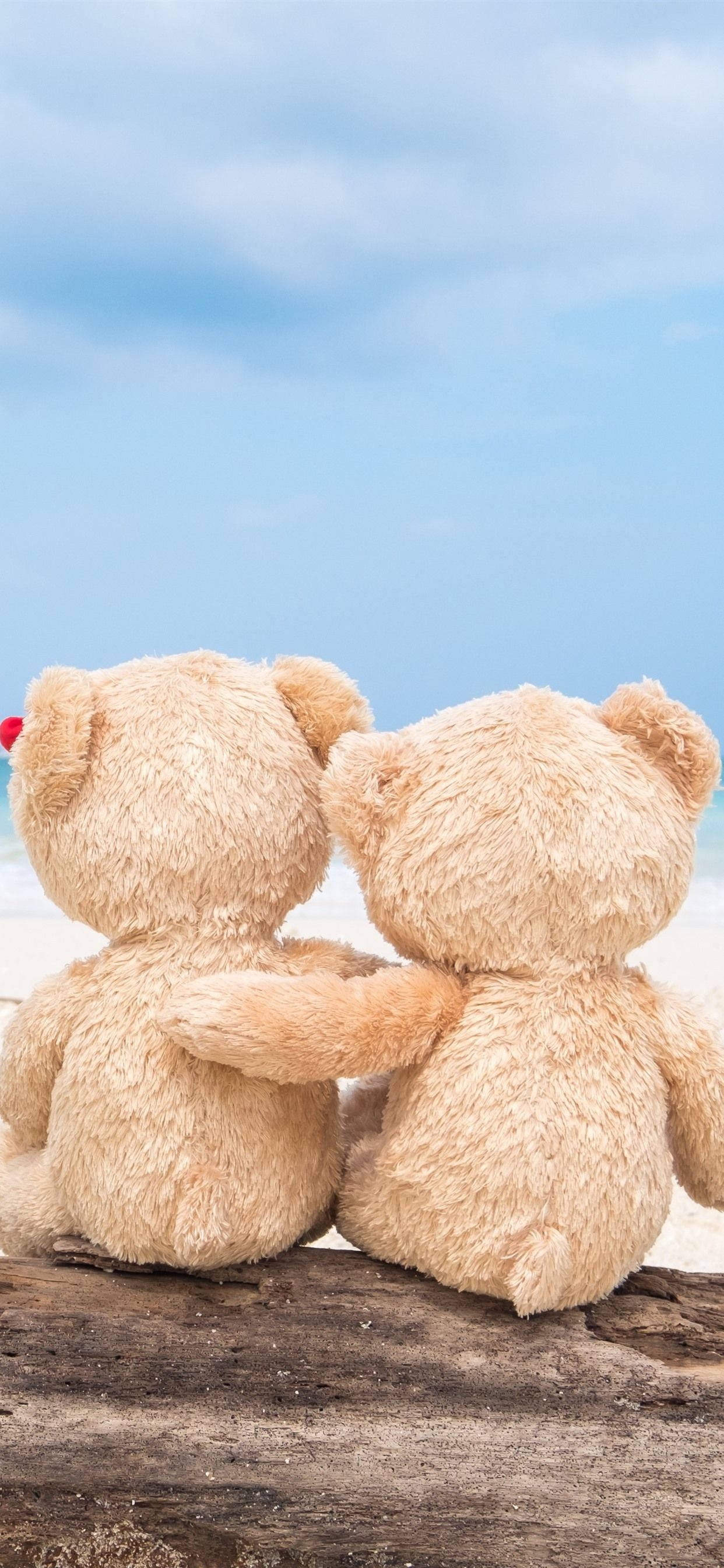 Teddy Bear 桌布 壁紙 — 兩隻毛絨絨的泰迪熊背對背坐在浮木上，在柔和的藍天下凝視著平靜的海洋。