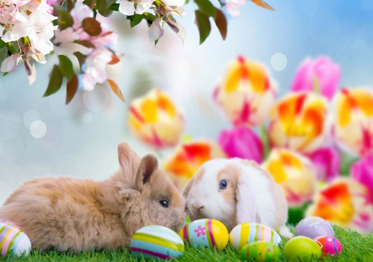 Easter 桌布 壁紙 — 兩隻毛茸茸的兔子在盛開的櫻花和鬱金香下，在色彩繽紛的復活節彩蛋中休息。
