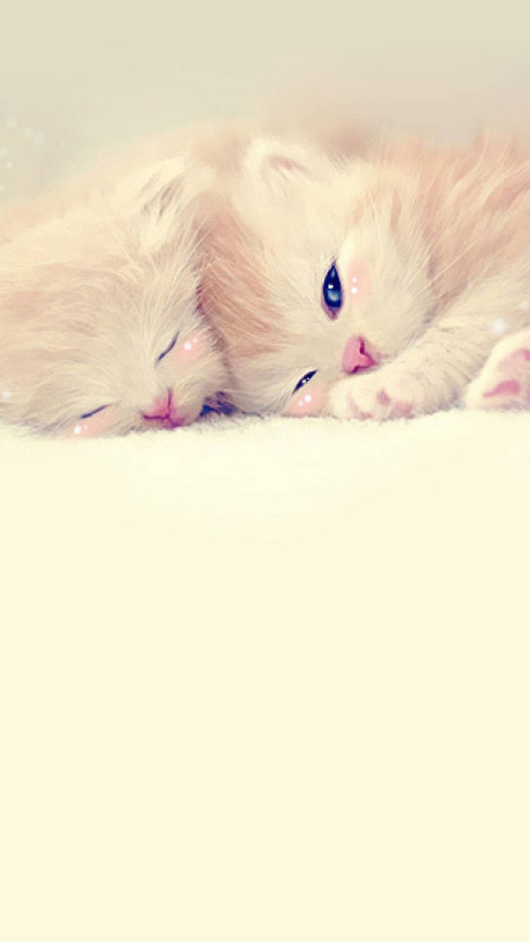 cute iPhone lock screen 桌布 壁紙 — 兩隻毛茸茸的奶油色小貓並排躺在柔軟的白色表面上，睜著一隻眼睛，平靜地睡著。