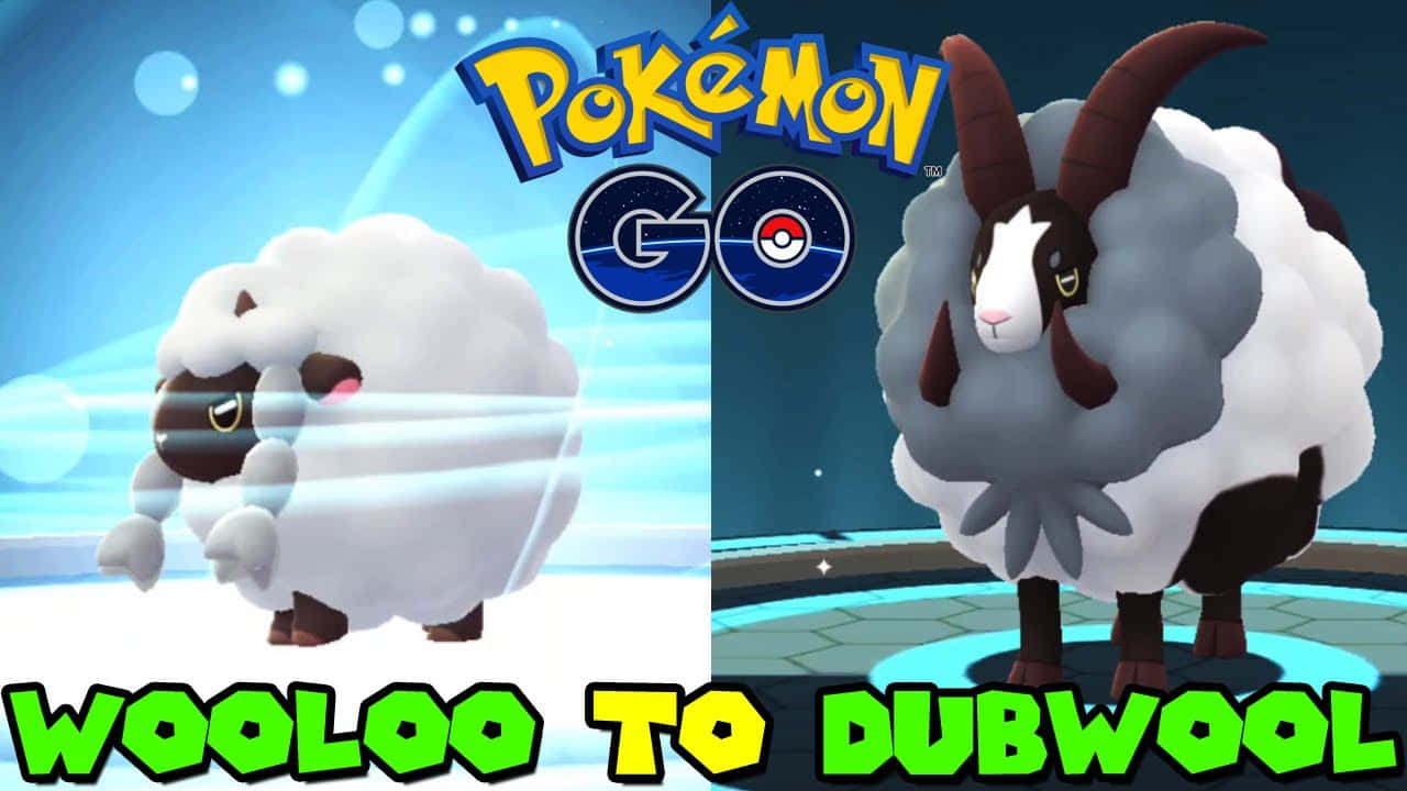 Wooloo 桌布 壁紙 — 兩隻毛茸茸的寶可夢 Wooloo 和 Dubwool 並排站在發光藍色精靈球場地中，上方有 'Pokémon GO' 標誌。