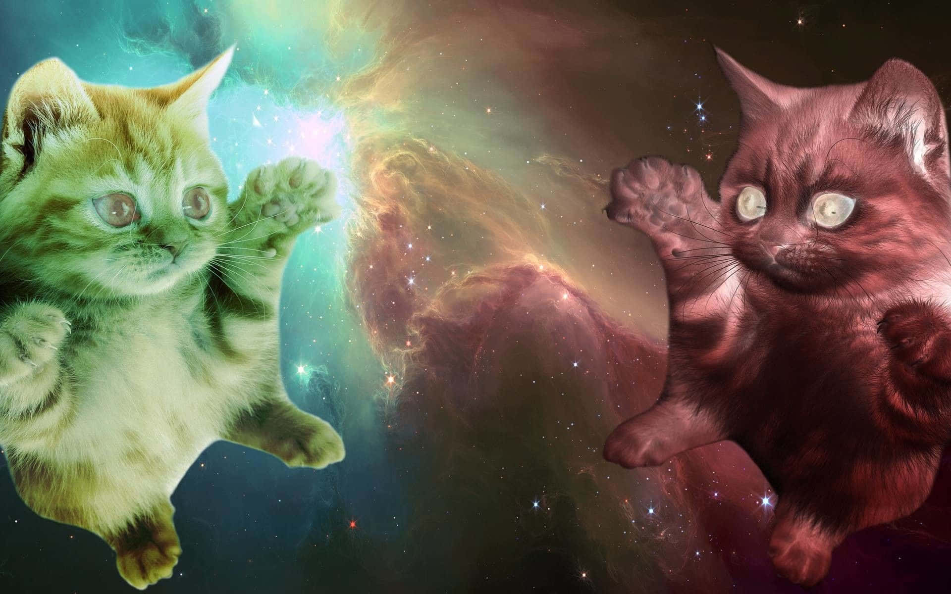 桌布 壁紙 — 兩隻毛茸茸的小貓漂浮在充滿活力的宇宙星雲中，穿越星光銀河互相伸手觸碰。