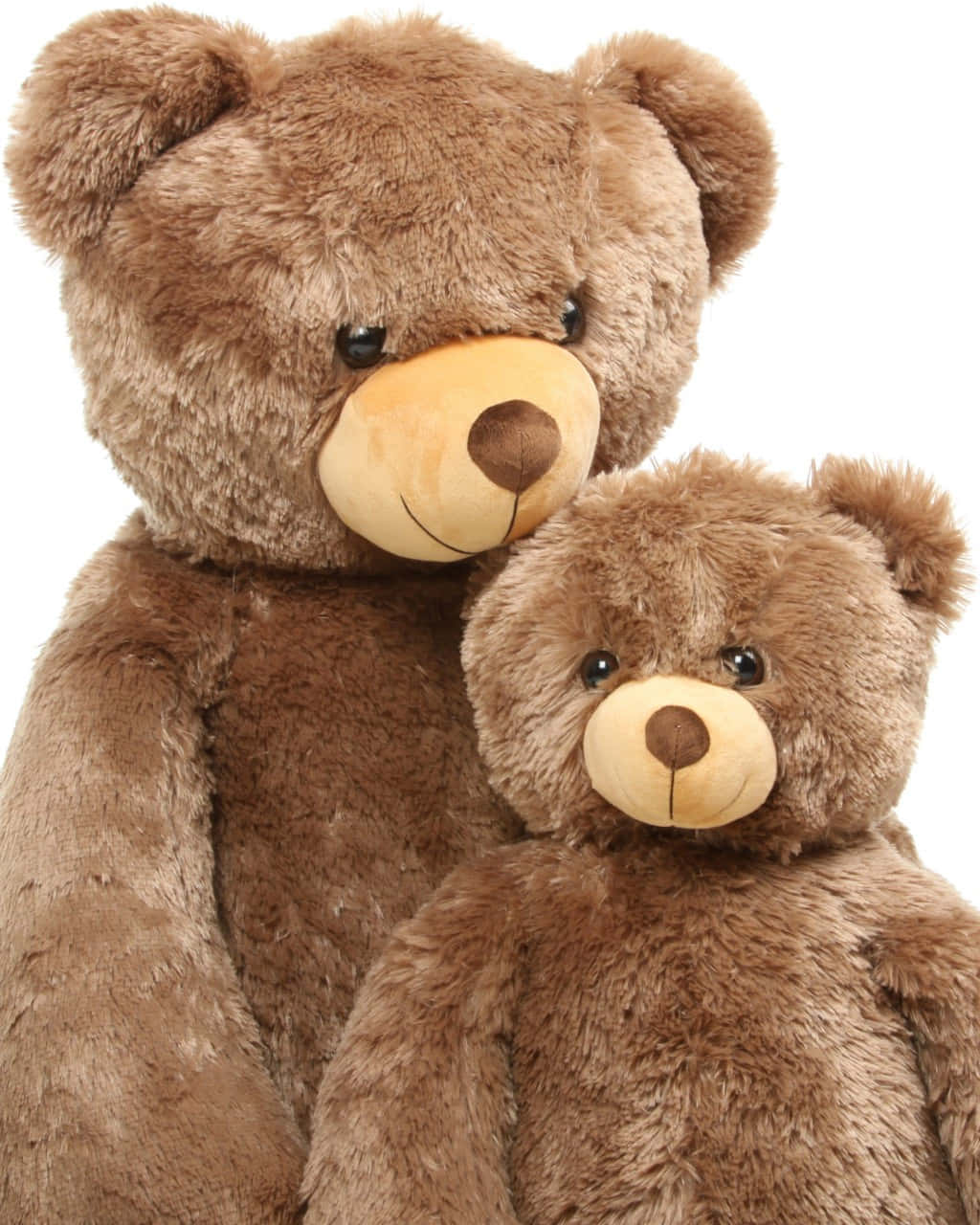 Cuddly 桌布 壁紙 — 兩隻毛茸茸的棕色泰迪熊，一大一小，依偎在白色背景上。