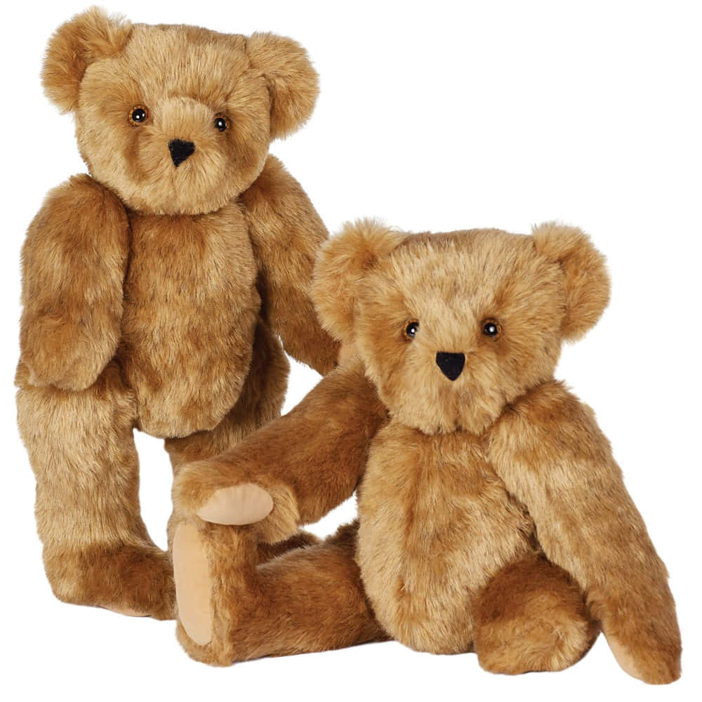 Teddy Bear 桌布 壁紙 — 兩隻毛茸茸的棕色泰迪熊，一隻站立一隻坐著，背景是純白色。