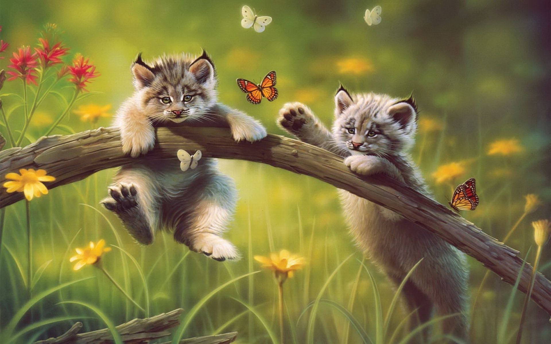 Butterflies 桌布 壁紙 — 兩隻毛茸茸的猞猁小貓在陽光普照的木頭上頑皮地保持平衡，周圍環繞著蝴蝶和野花。