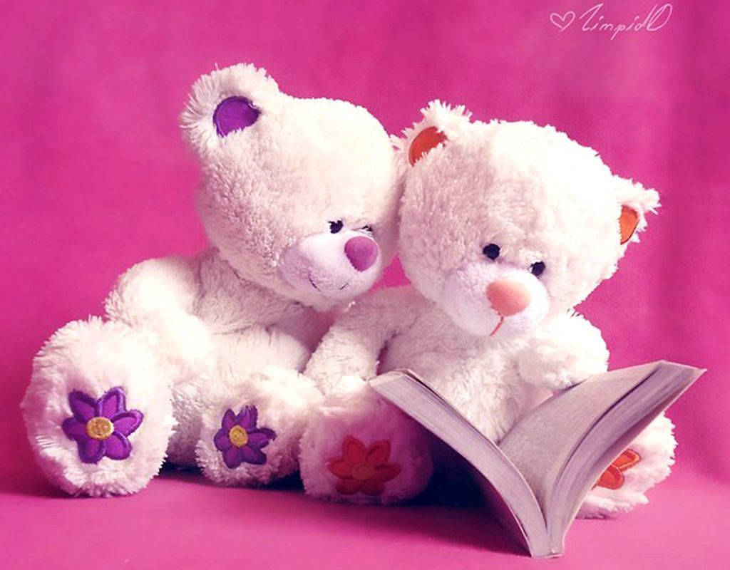 Cute Bear 桌布 壁紙 — 兩隻毛茸茸的白色泰迪熊，帶有彩色花朵補丁，一起坐在充滿活力的粉紅色背景上閱讀一本書。