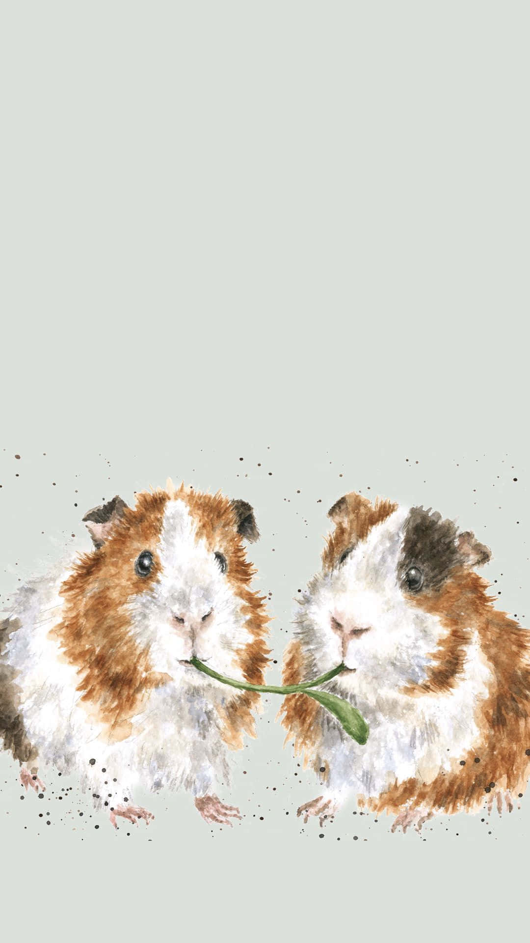 guinea pig 桌布 壁紙 — 兩隻水彩風格的豚鼠在一片柔軟灰色背景上共享一片葉子，帶有墨水飛濺效果。