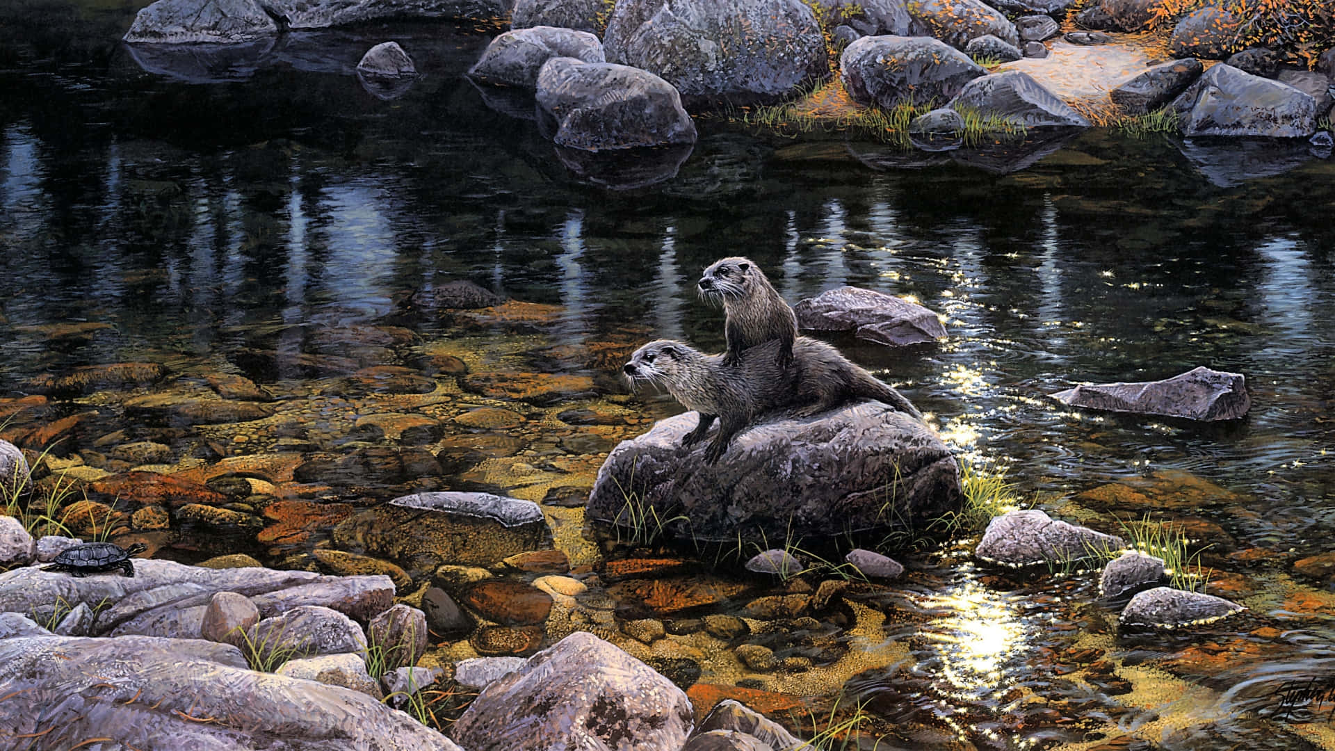 Otter 桌布 壁紙 — 兩隻水獺在陽光明媚的山間清澈溪流中的岩石上休息，周圍環繞著長滿苔蘚的石頭和秋葉。