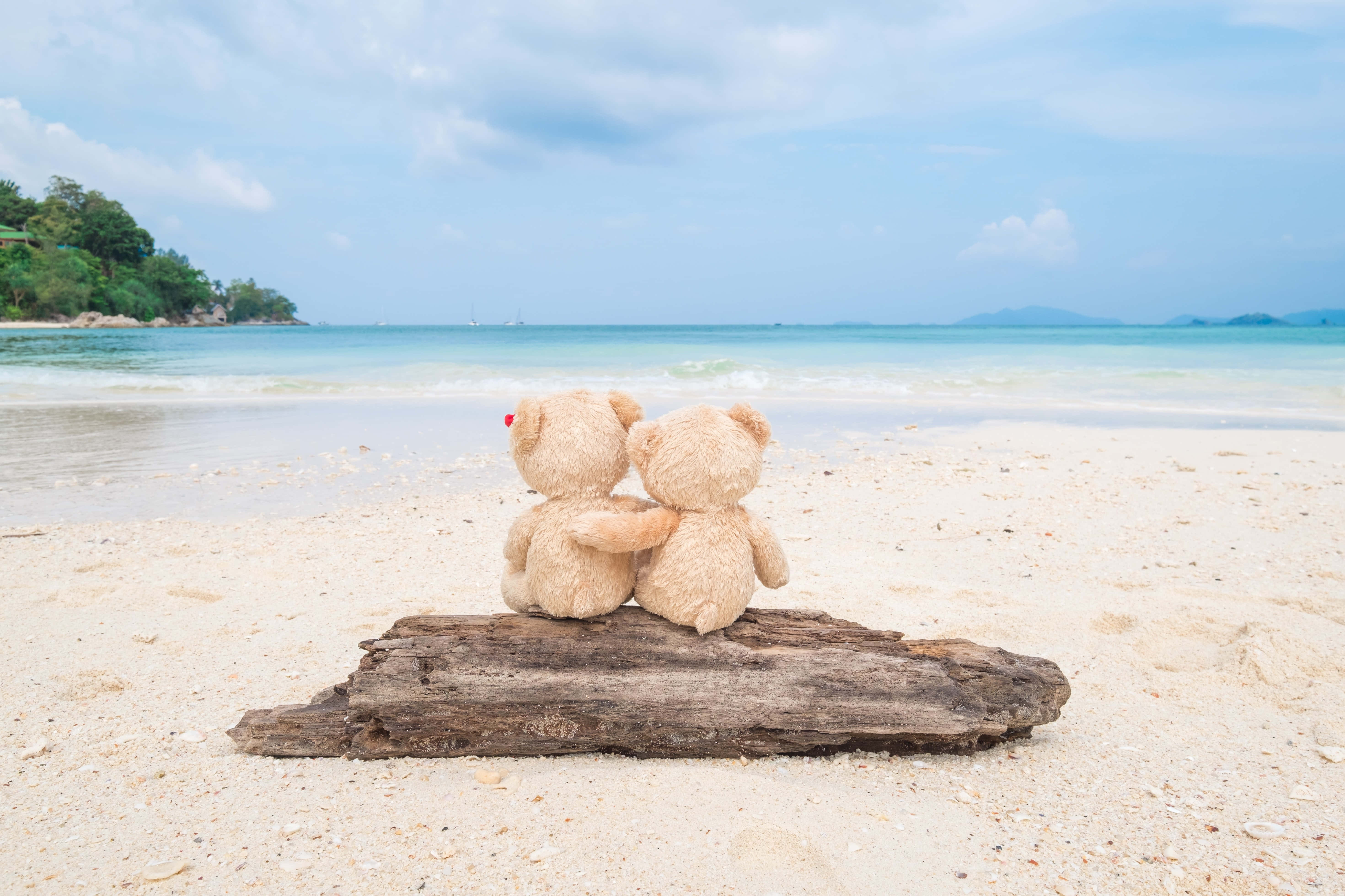 Beach Lovers 桌布 壁紙 — 兩隻泰迪熊背對背坐在浮木上，凝視著蔚藍天空下的碧綠海浪。