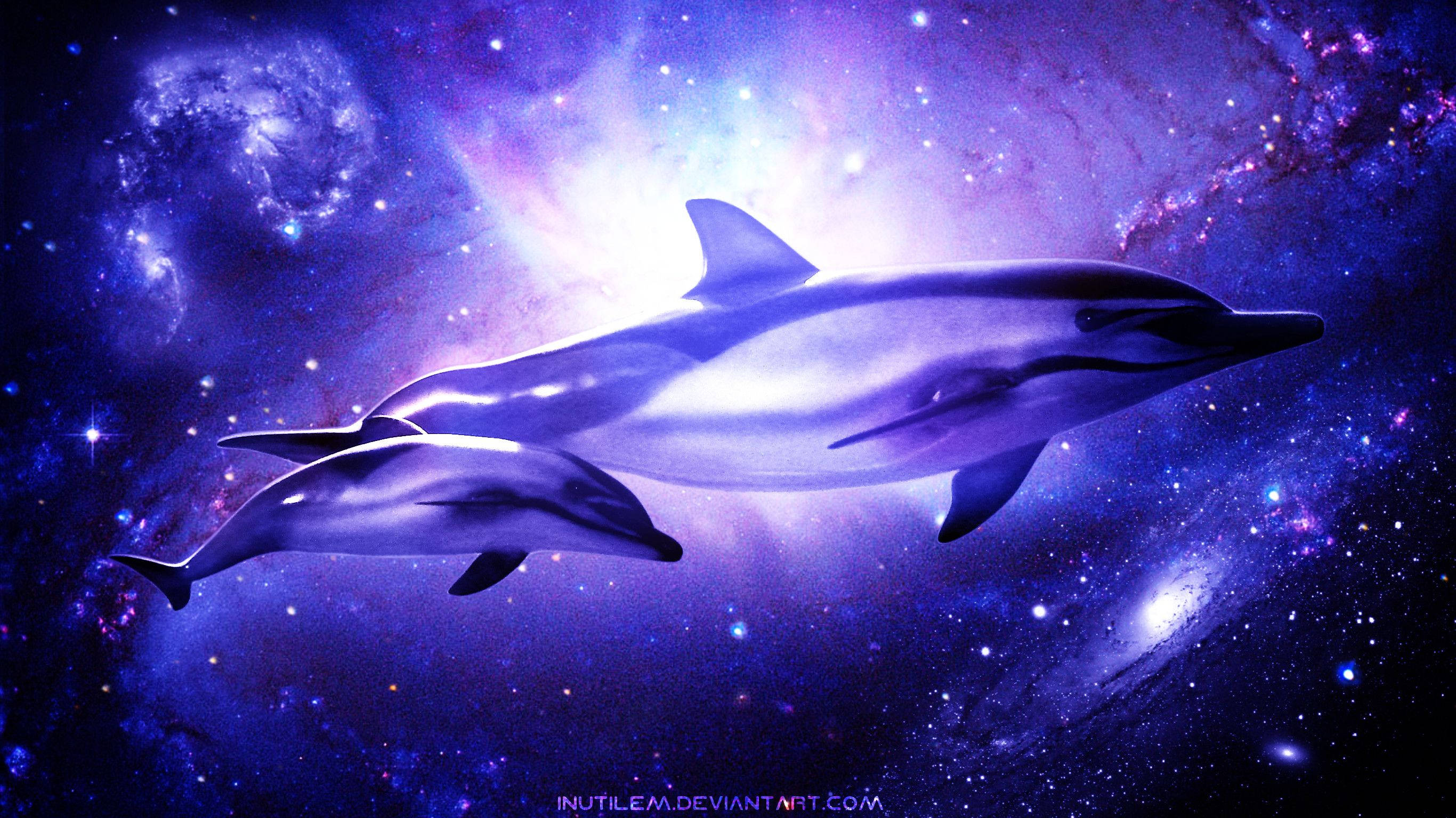 海豚 桌布 壁紙 — 兩隻海豚優雅地滑過充滿發光紫色和藍色星星的充滿活力的宇宙星雲。