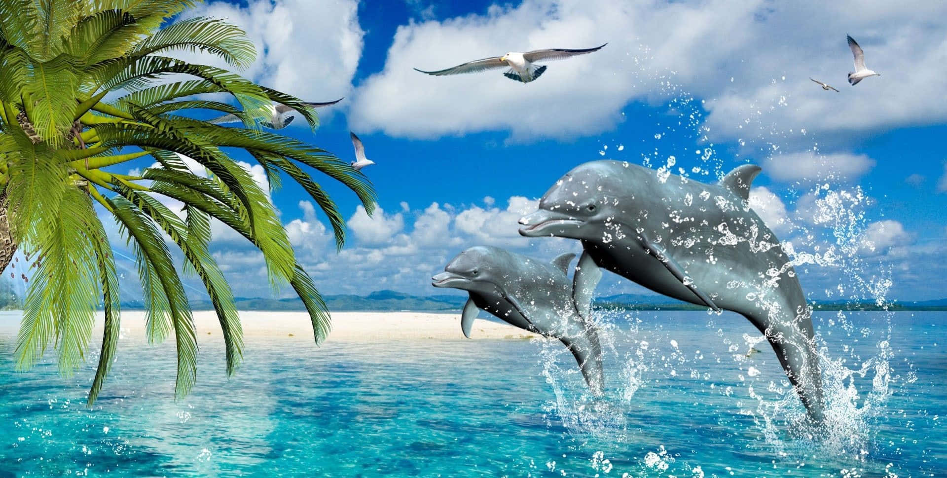Cool Dolphin 桌布 壁紙 — 兩隻海豚從碧綠色的海水中躍起，旁邊有棕櫚樹，天空湛藍，海鷗飛翔。