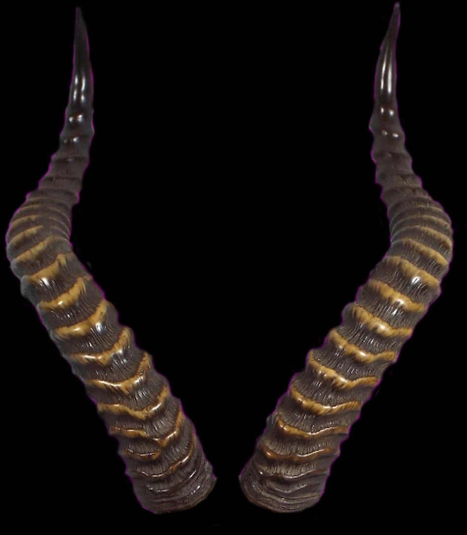Devil Horn 桌布 壁紙 — 兩隻深棕色和金色條紋的鹿角，尖端鋒利，對稱地立在純黑色背景上。
