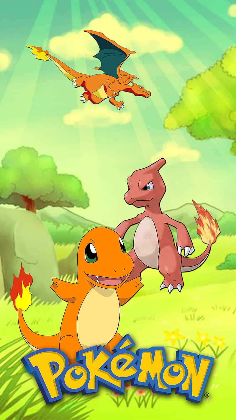 Cute Charmander 桌布 壁紙 — 兩隻火屬性寶可夢小火龍和火恐龍站在陽光明媚的草地上，周圍有樹木，上方有一隻飛行的火恐龍。