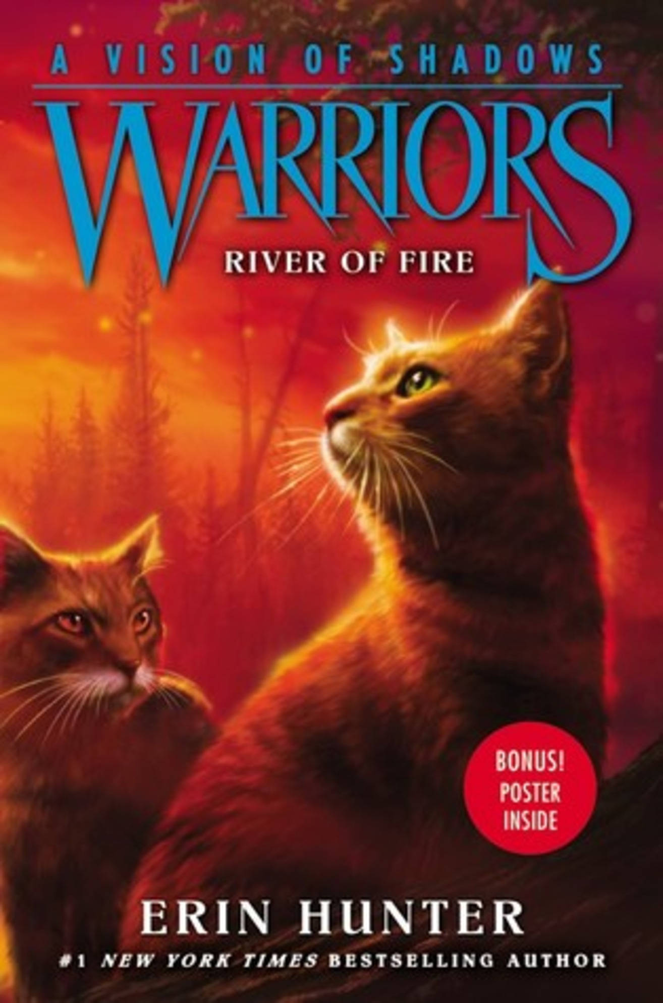 Cats 桌布 壁紙 — 兩隻火熱的橙色貓咪在熾熱的紅色和橙色日落森林背景下向上凝視。