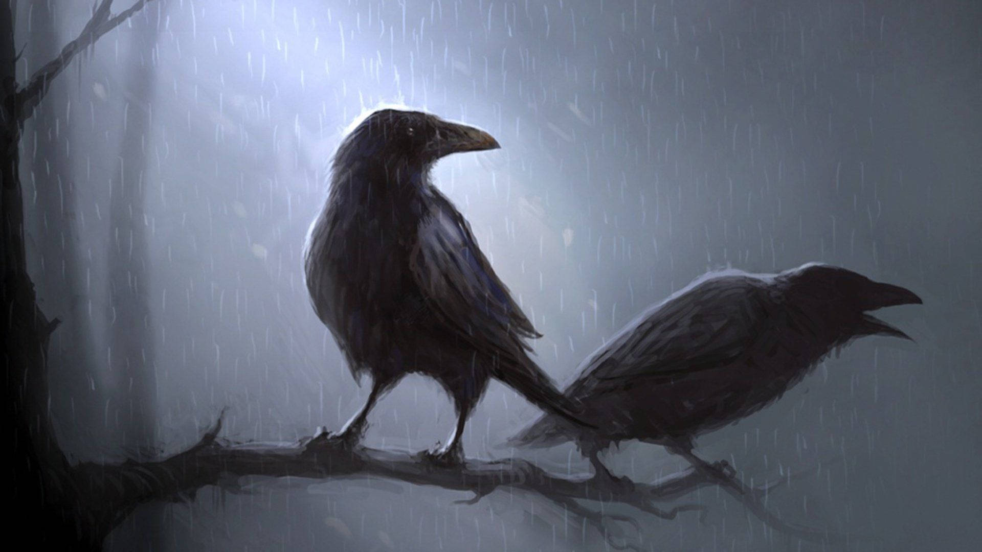Raven 桌布 壁紙 — 兩隻烏鴉棲息在光禿禿的樹枝上，在傾盆大雨中，以霧濛濛的灰色背景襯托出剪影，周圍有雨絲落下。