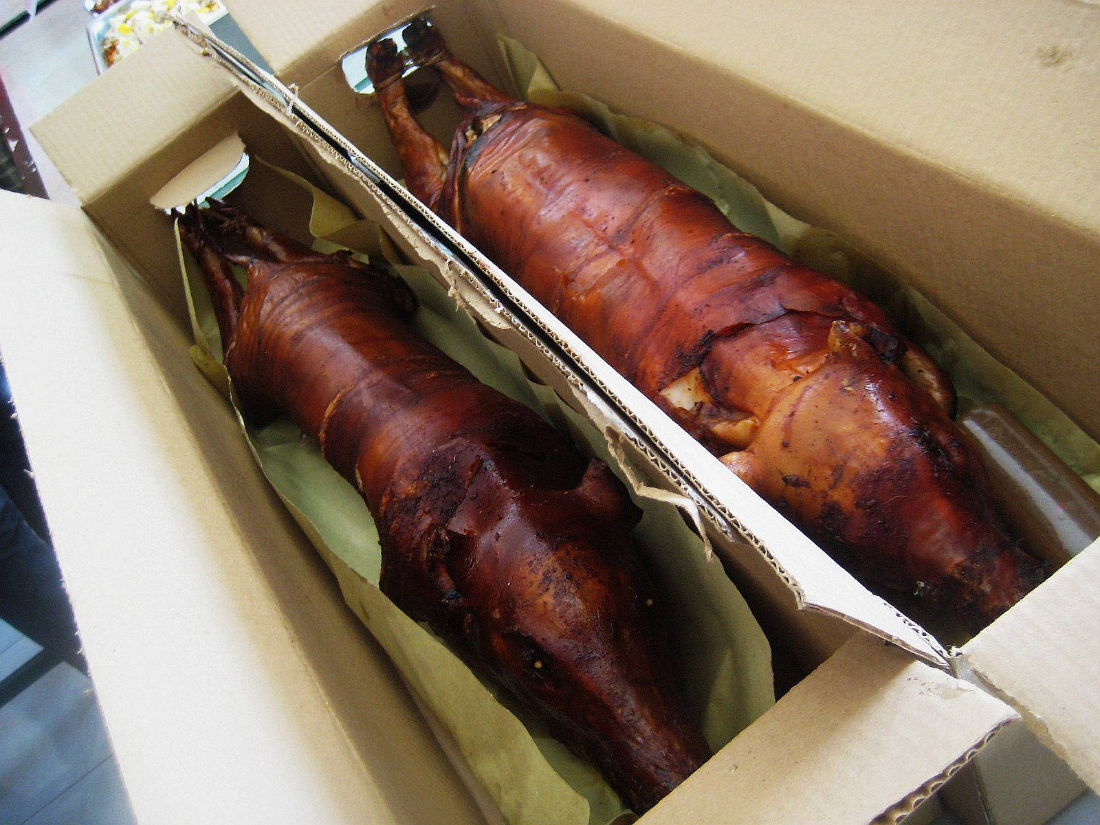 Pig 桌布 壁紙 — 兩隻烤全豬，皮脆金黃，放在鋪有綠色紙張的紙箱中。