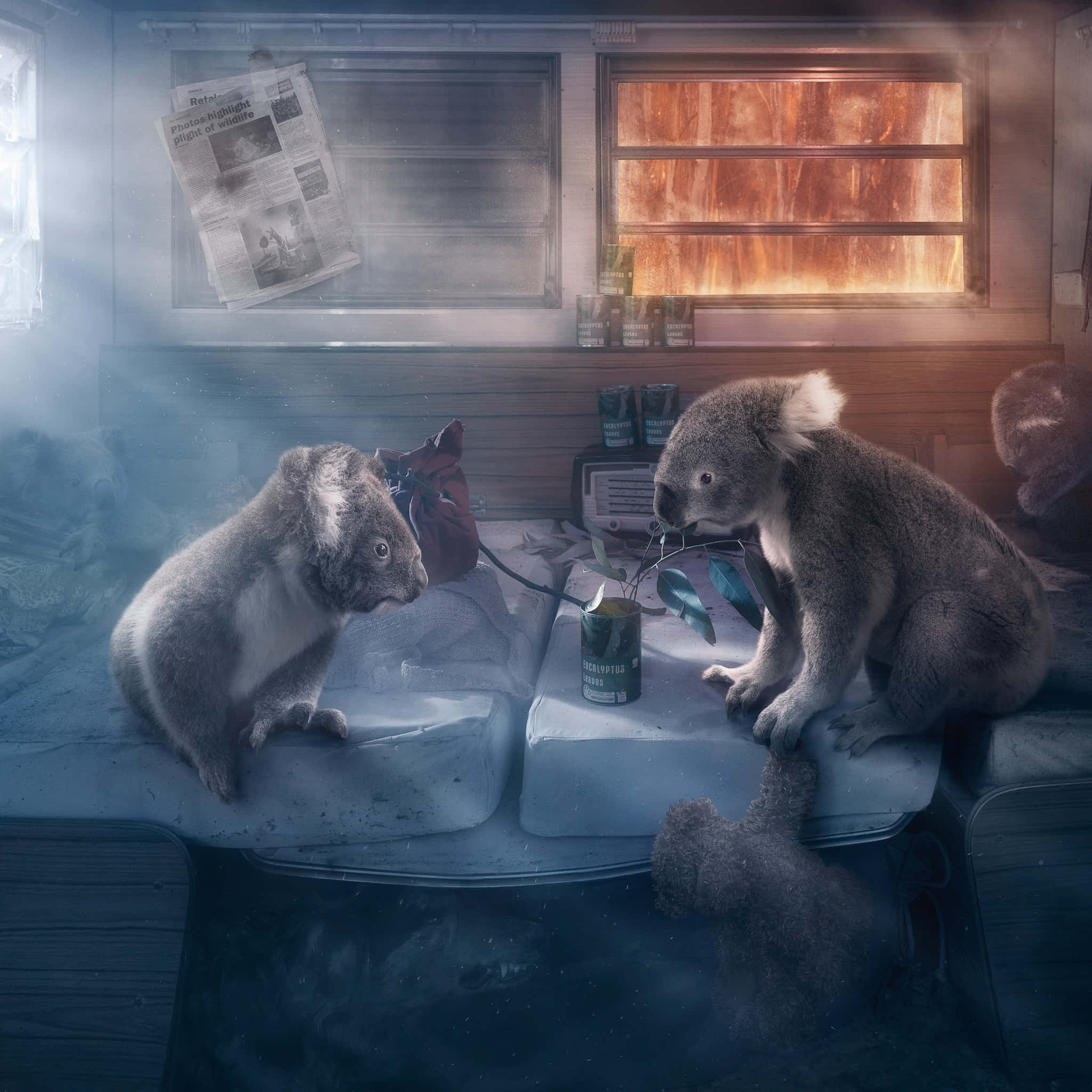 Koala 桌布 壁紙 — 兩隻無尾熊坐在結霜的火車長椅上，分享一罐桉樹茶，背後窗戶透出溫暖的光芒。