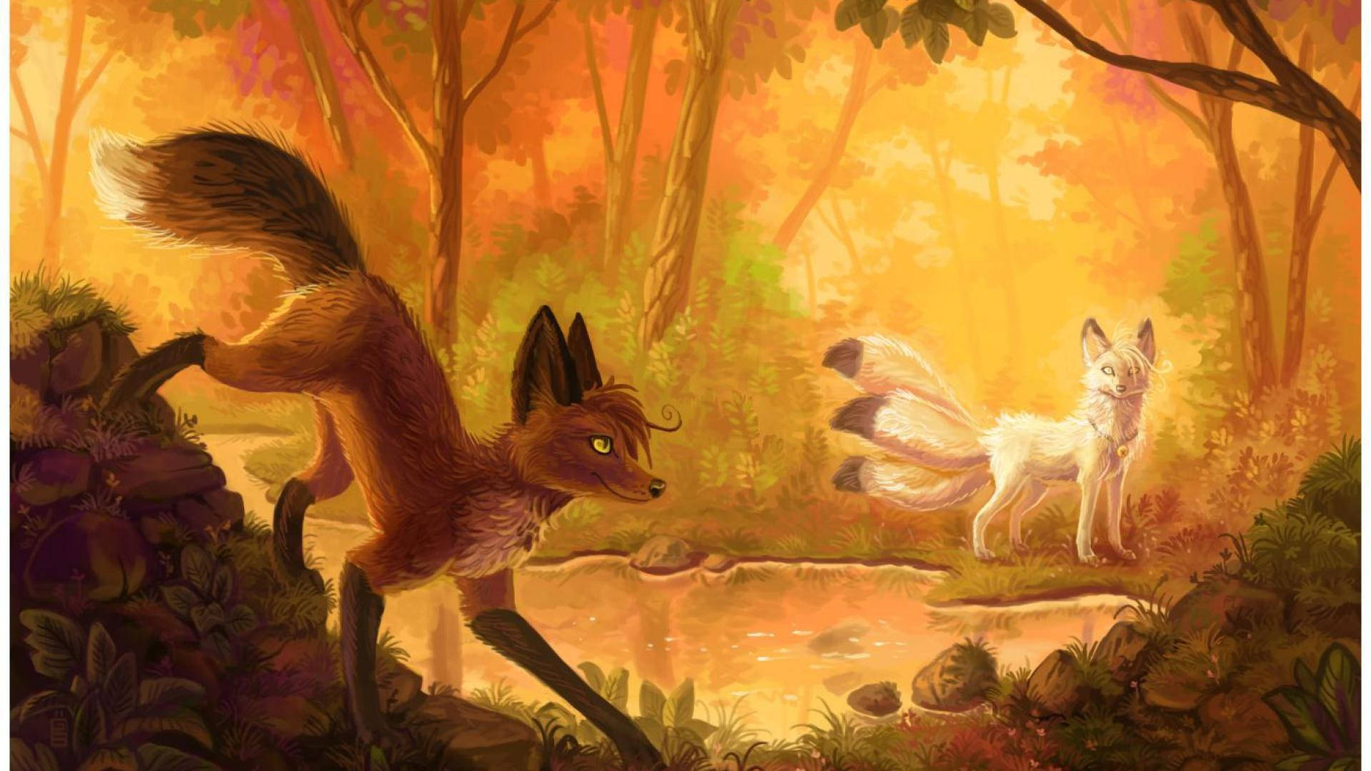 Kitsune 桌布 壁紙 — 兩隻狐狸，一棕一白，站在一條小溪旁，身處一個沐浴在溫暖光線中的金色秋林。
