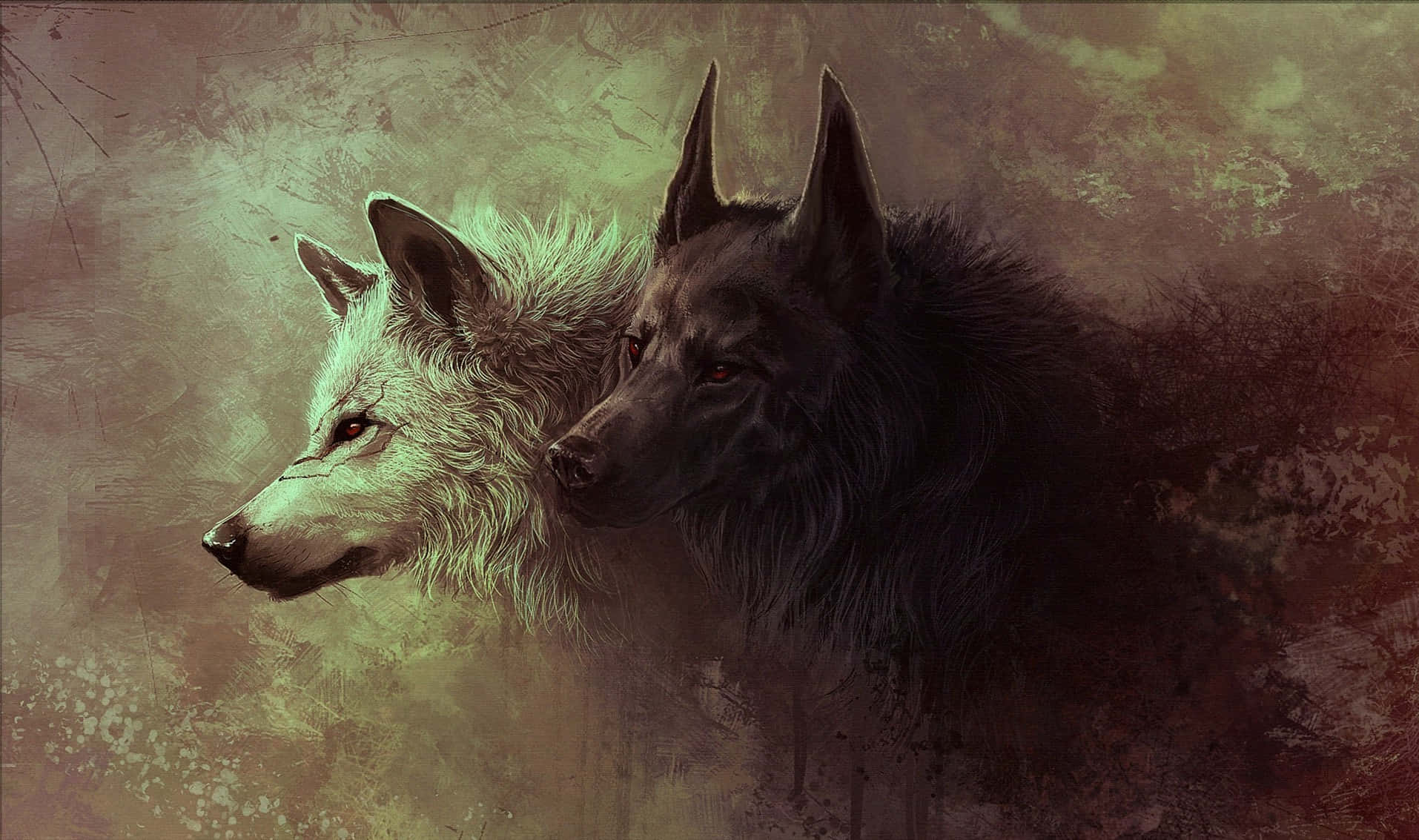 Dogs 桌布 壁紙 — 兩隻狼，一白一黑，並肩凝視著質感樸實的背景，眼睛閃閃發光。