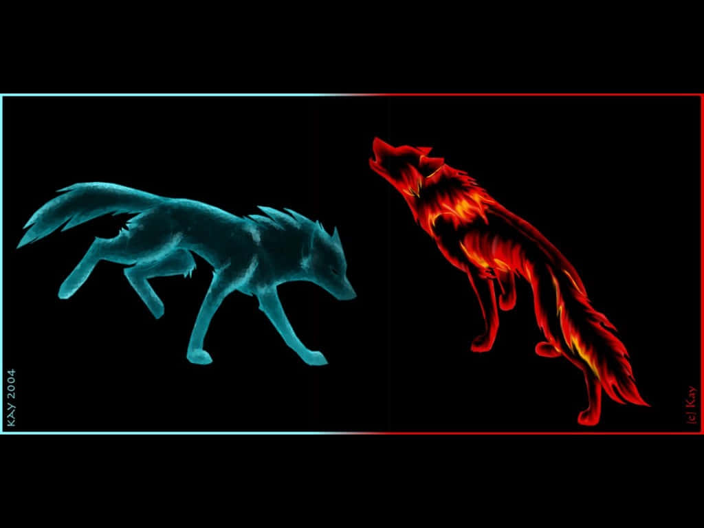 Fire And Ice Wolf 桌布 壁紙 — 兩隻狼——一隻冰藍色，一隻火紅色——在黑色虛空中面對面，散發著元素能量。