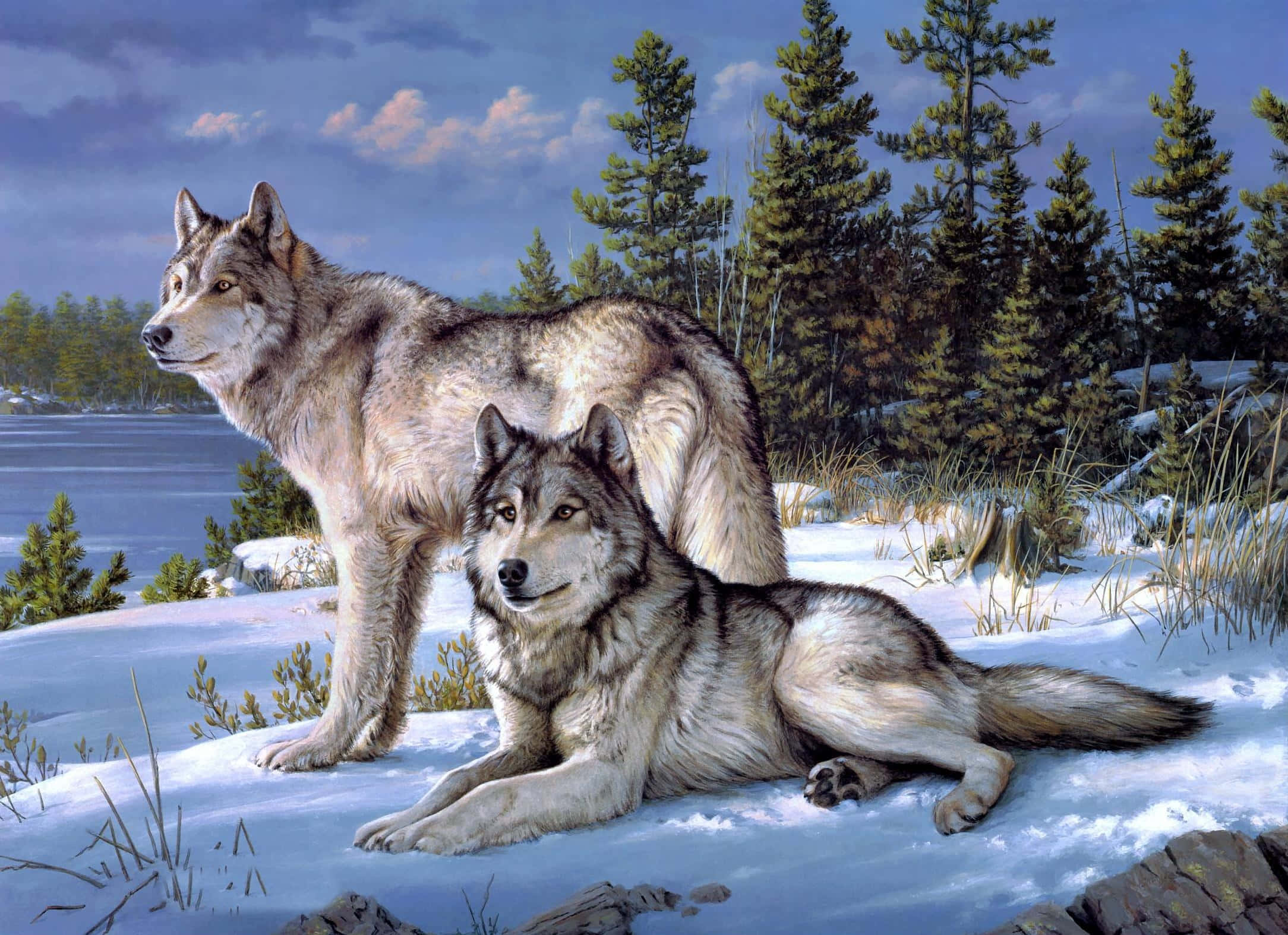 Gray Wolf 桌布 壁紙 — 兩隻狼，一隻站立一隻躺臥，在多雲天空下的雪地森林中，靠近結冰的湖。