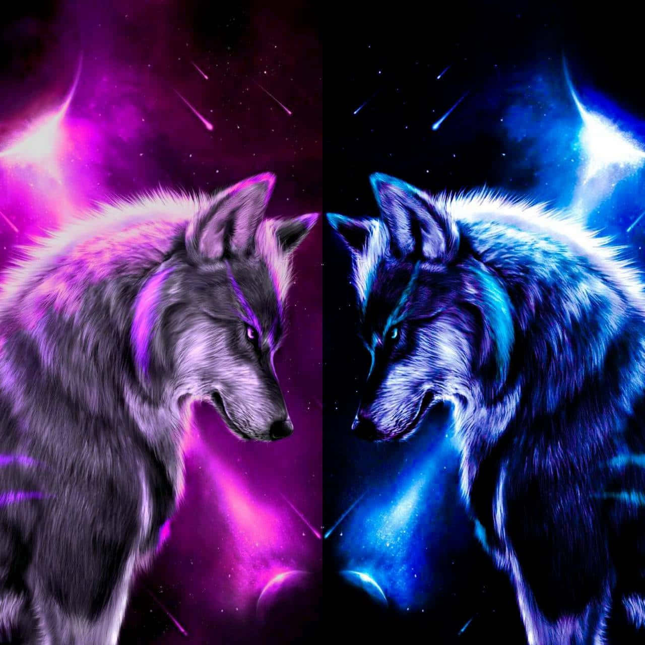 Cute Wolves 桌布 壁紙 — 兩隻狼在紫色和藍色星雲及流星的宇宙背景下面對面。