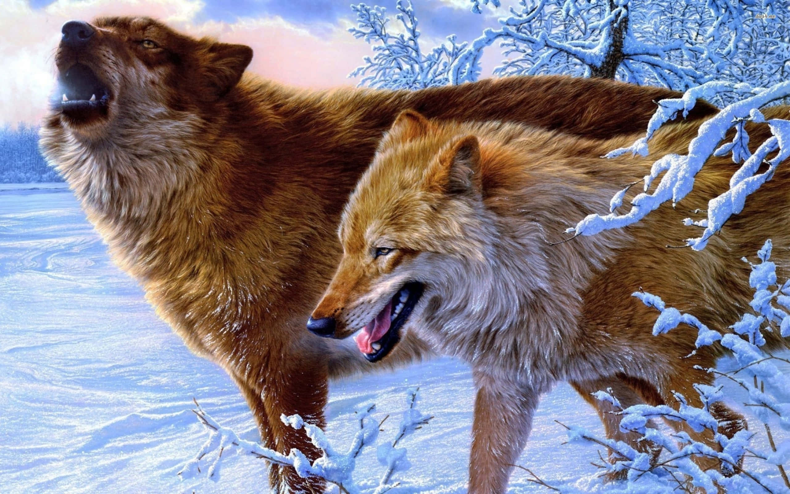 Howling Wolf 桌布 壁紙 — 兩隻狼在雪白的冬日森林中嚎叫和喘息，樹枝上覆蓋著霜，天空柔和暮色。