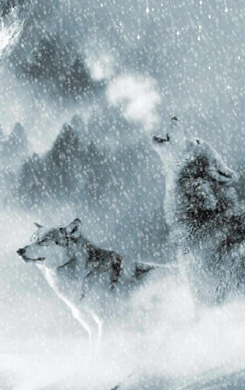 Wolf In Snow 桌布 壁紙 — 兩隻狼站在雪地森林中，其中一隻在飄雪和星空下嚎叫。