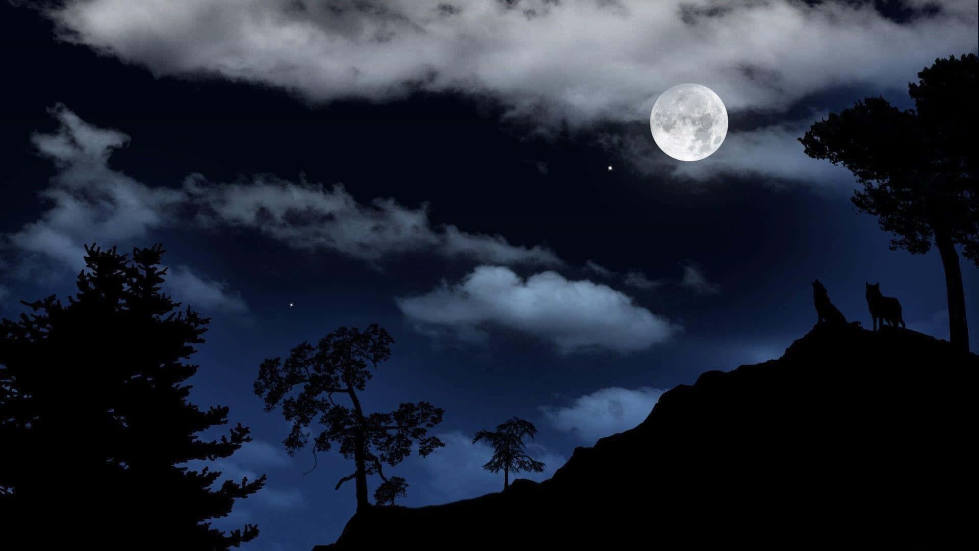 Moonlight 桌布 壁紙 — 兩隻狼站在黑暗的山丘上，在月光照耀的天空下形成剪影，飄浮的雲朵和散落的星星點綴其間。