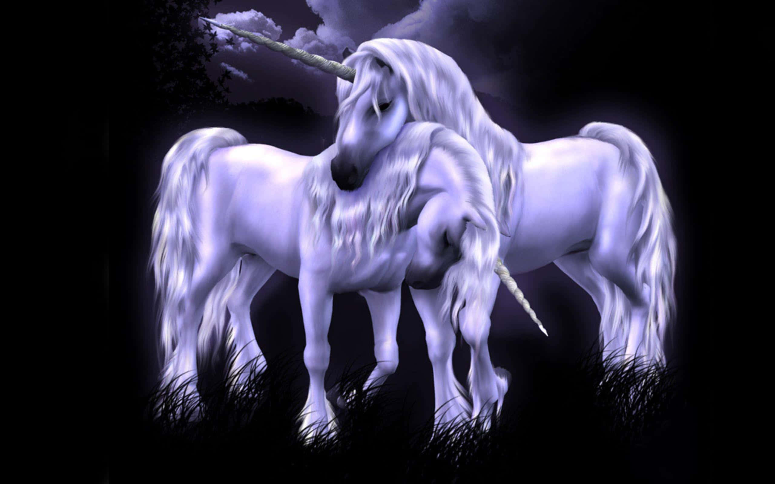 Unicorn Coloring 桌布 壁紙 — 兩隻發光的白色獨角獸在暴風雨天空下的黑暗夜場中溫柔地依偎。