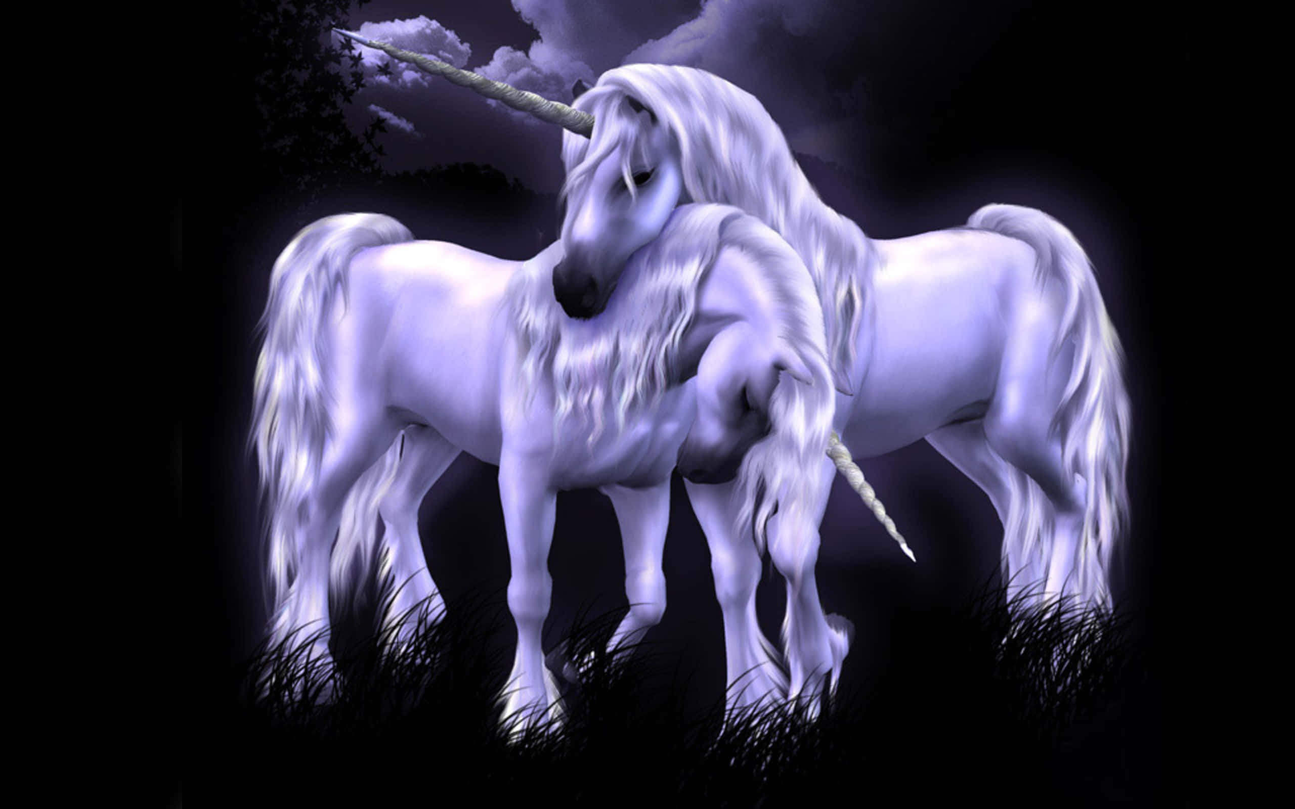 Unicorns 桌布 壁紙 — 兩隻發光的白色獨角獸在暴風雨紫色天空下的黑暗森林中溫柔地依偎。