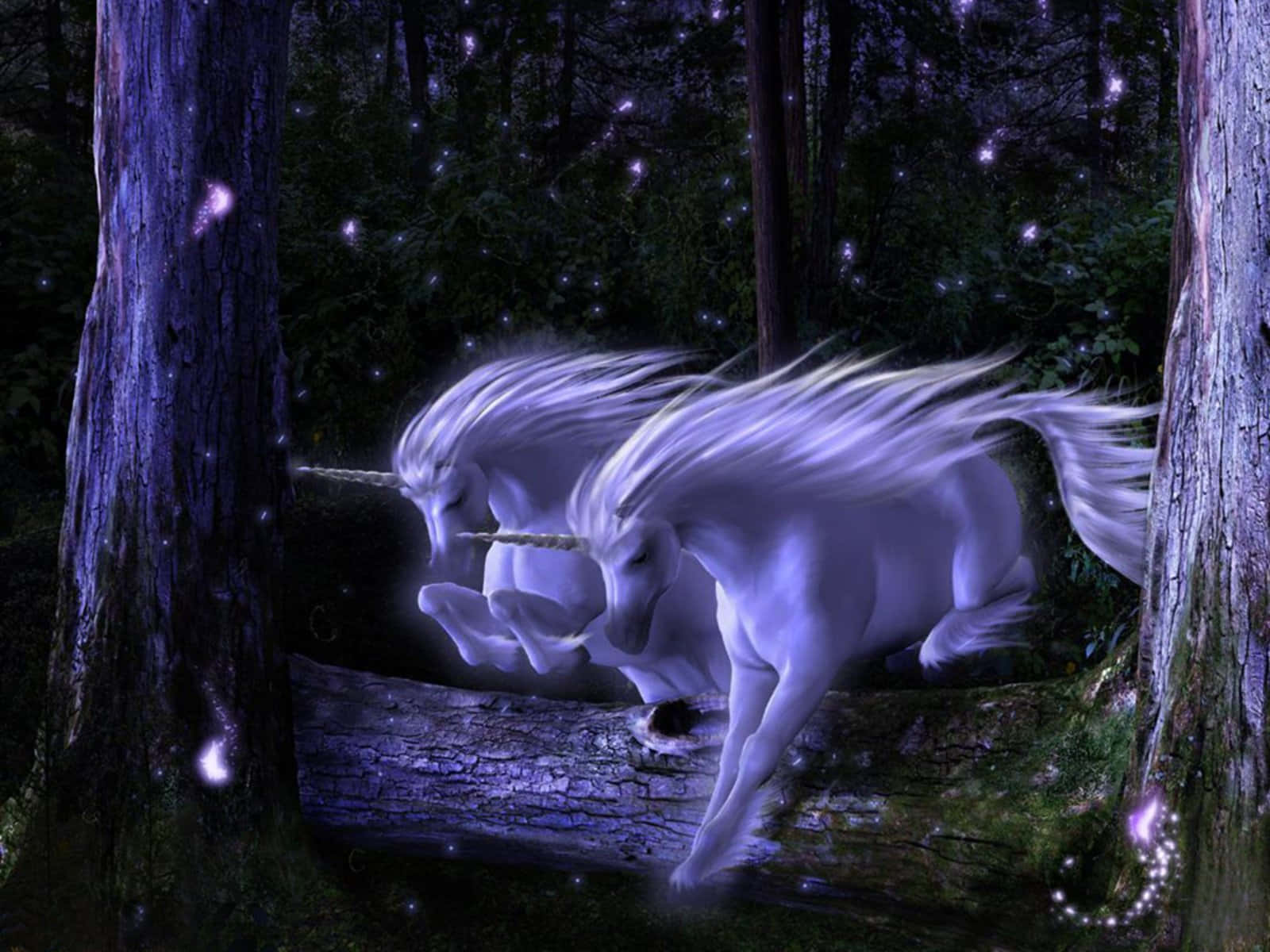 獨角獸 桌布 壁紙 — 兩隻發光的白色獨角獸奔馳過一個神秘的紫色森林，森林中閃爍著漂浮的仙女燈光。