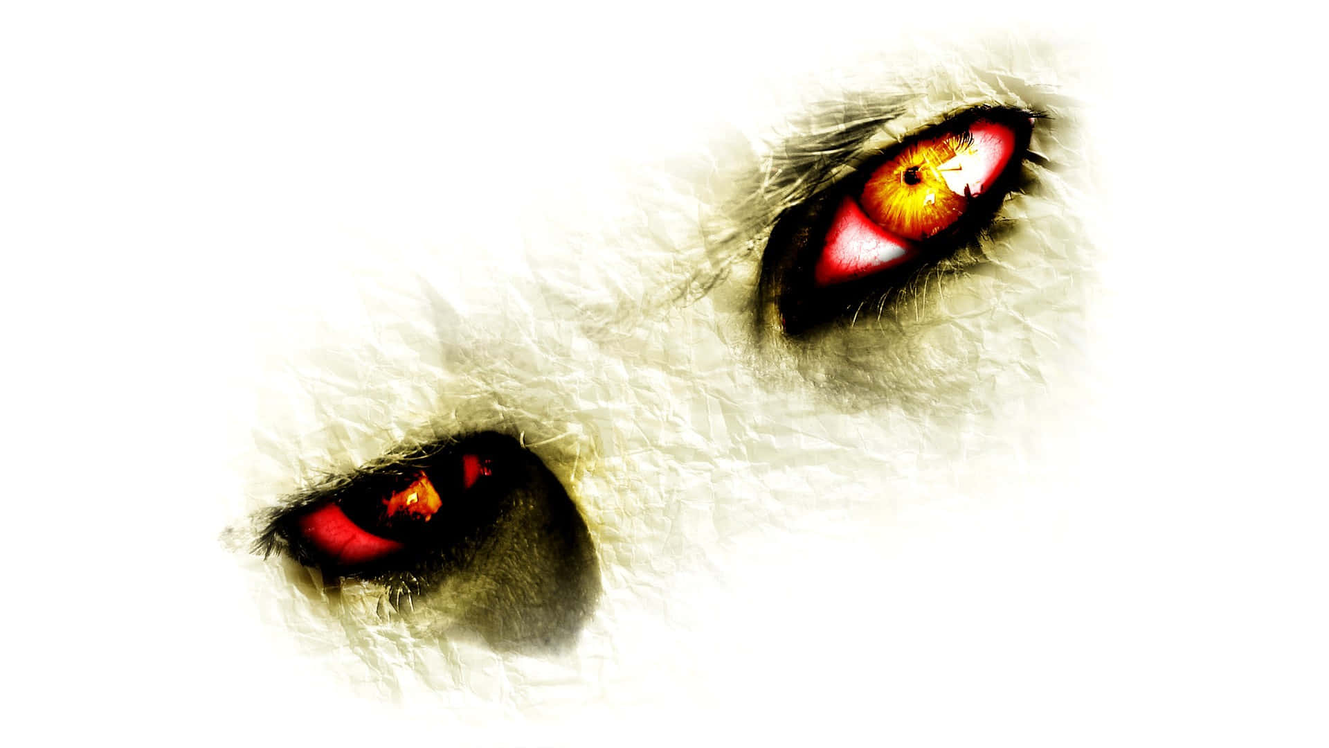 Eye 桌布 壁紙 — 兩隻發光的紅色眼睛透過蓬鬆的白色毛髮，在純白背景下凝視。