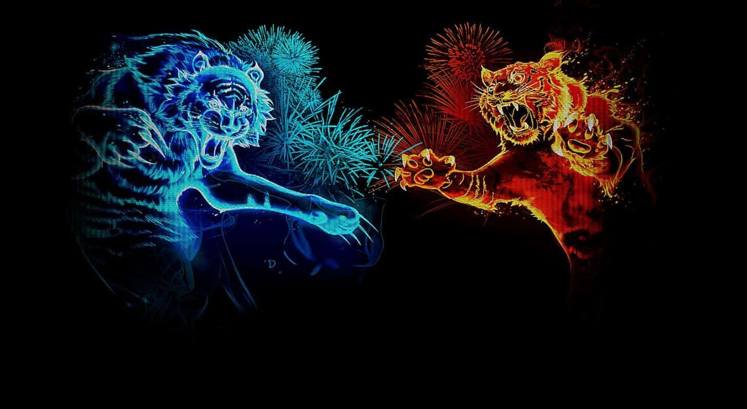 Red And Blue Fire 桌布 壁紙 — 兩隻發光的老虎——一隻冰藍色和一隻火橙色——在黑色背景上以爆炸性能量戲劇性地碰撞。