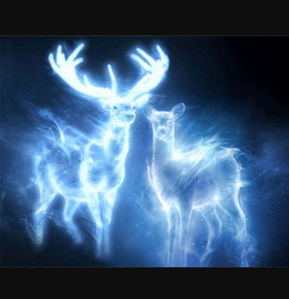 Patronus 桌布 壁紙 — 兩隻發光的藍色鹿帶有飄渺的光跡，站在黑暗的宇宙背景前。