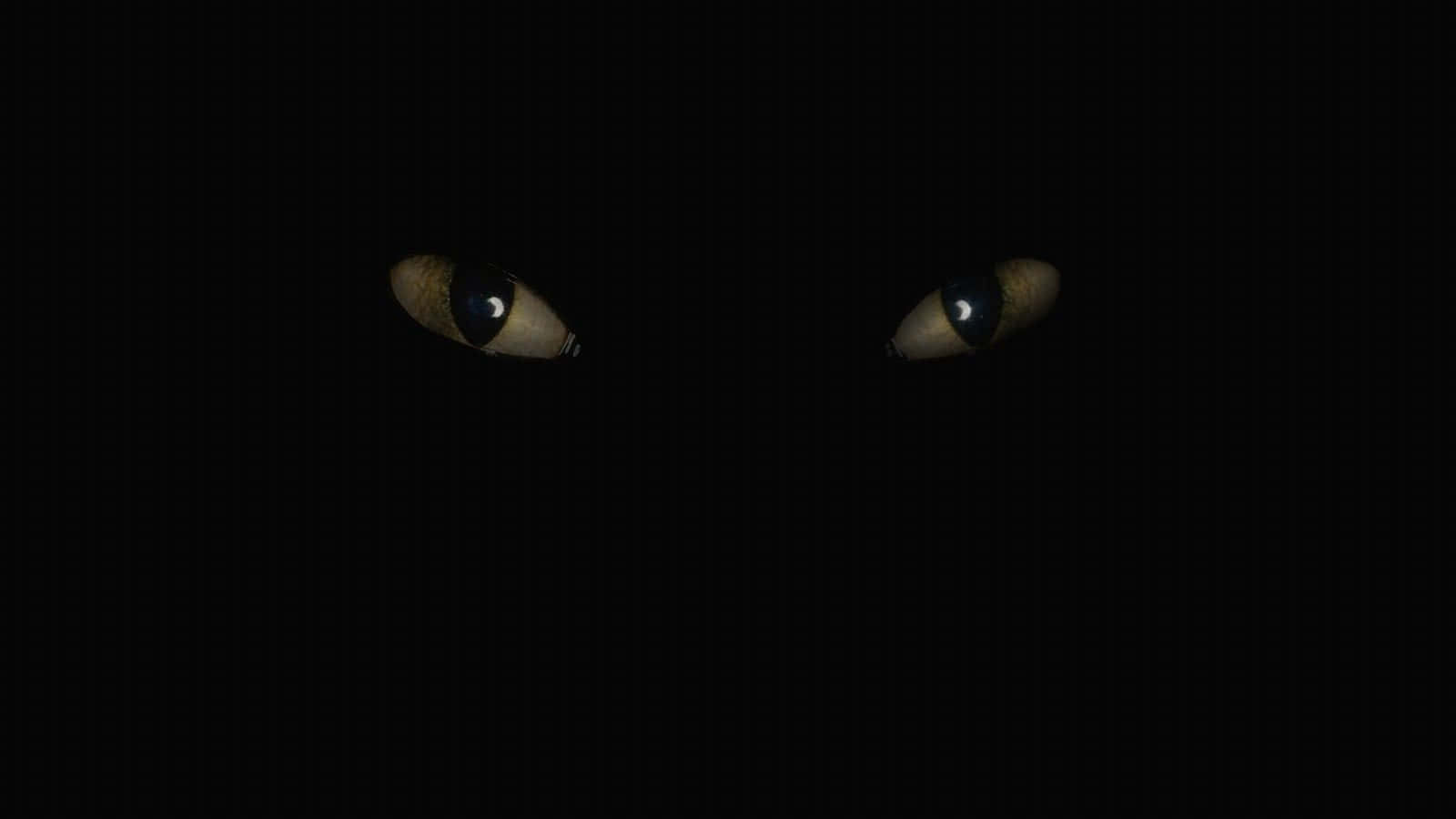 Vantablack 桌布 壁紙 — 兩隻發光的貓眼從絕對黑暗中窺視，營造出詭異而懸疑的氣氛。