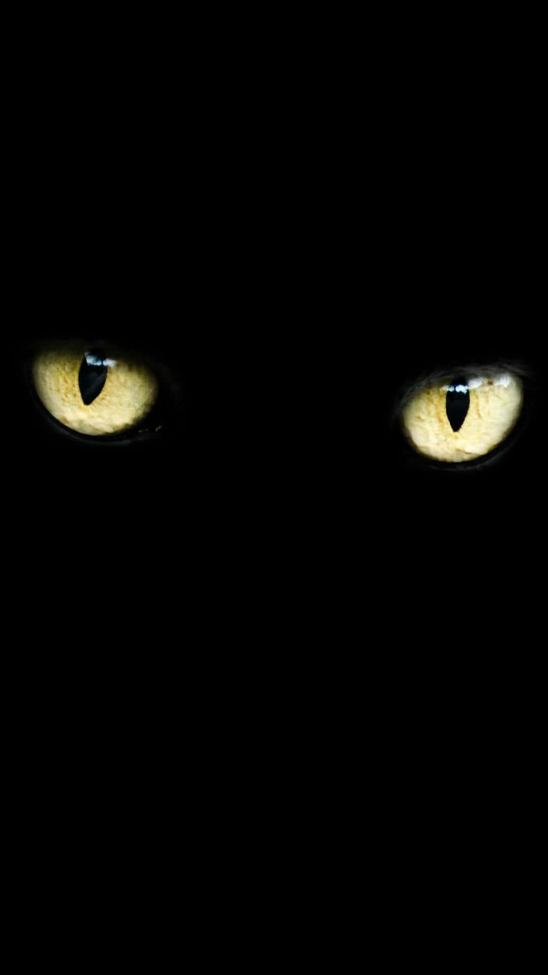 Cat Eyes 桌布 壁紙 — 兩隻發光的黃色貓眼從絕對黑暗中凝視，營造出令人毛骨悚然且神秘的氛圍。
