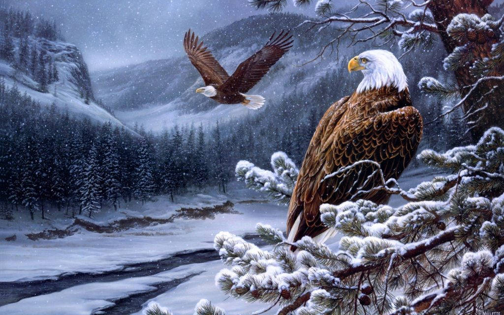 Eagle 桌布 壁紙 — 兩隻白頭鷹在冬日山谷中，於結冰河流上方的積雪松枝間翱翔和棲息。