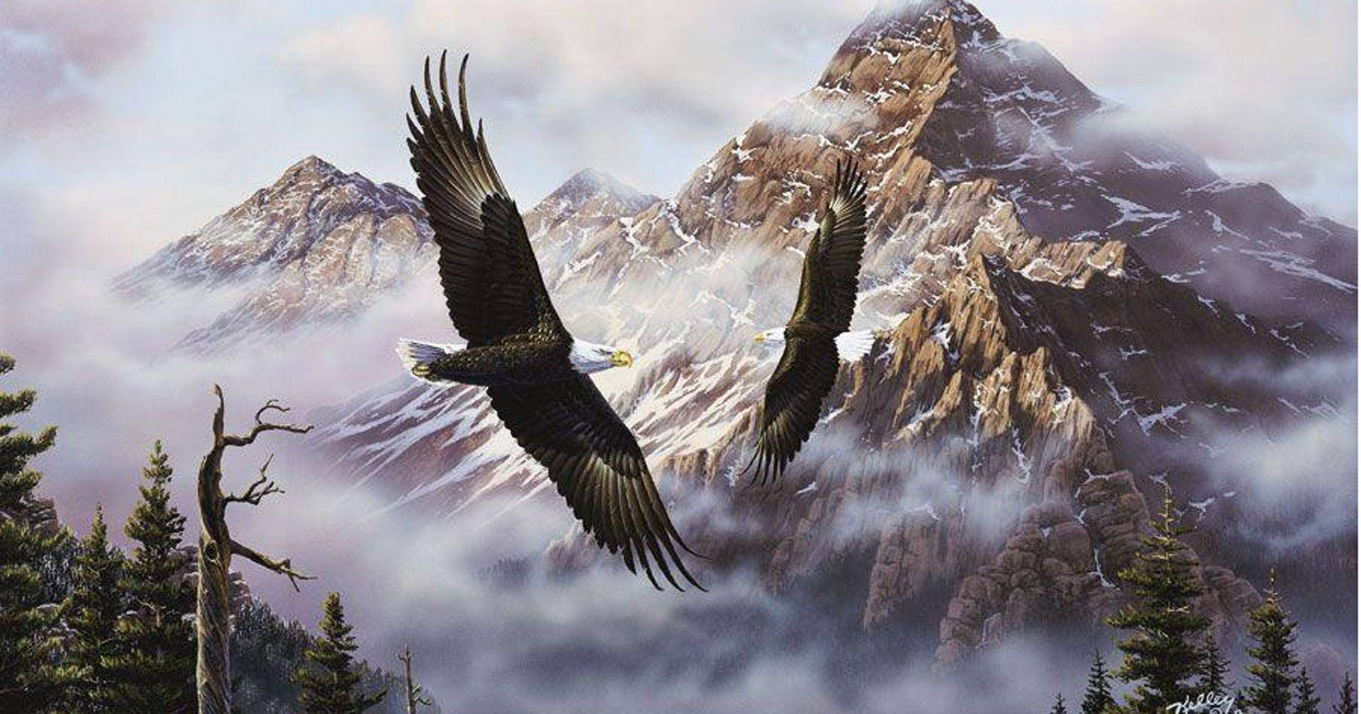 Eagle 桌布 壁紙 — 兩隻白頭鷹在霧氣繚繞的雪山上方優雅翱翔，下方是常青樹。
