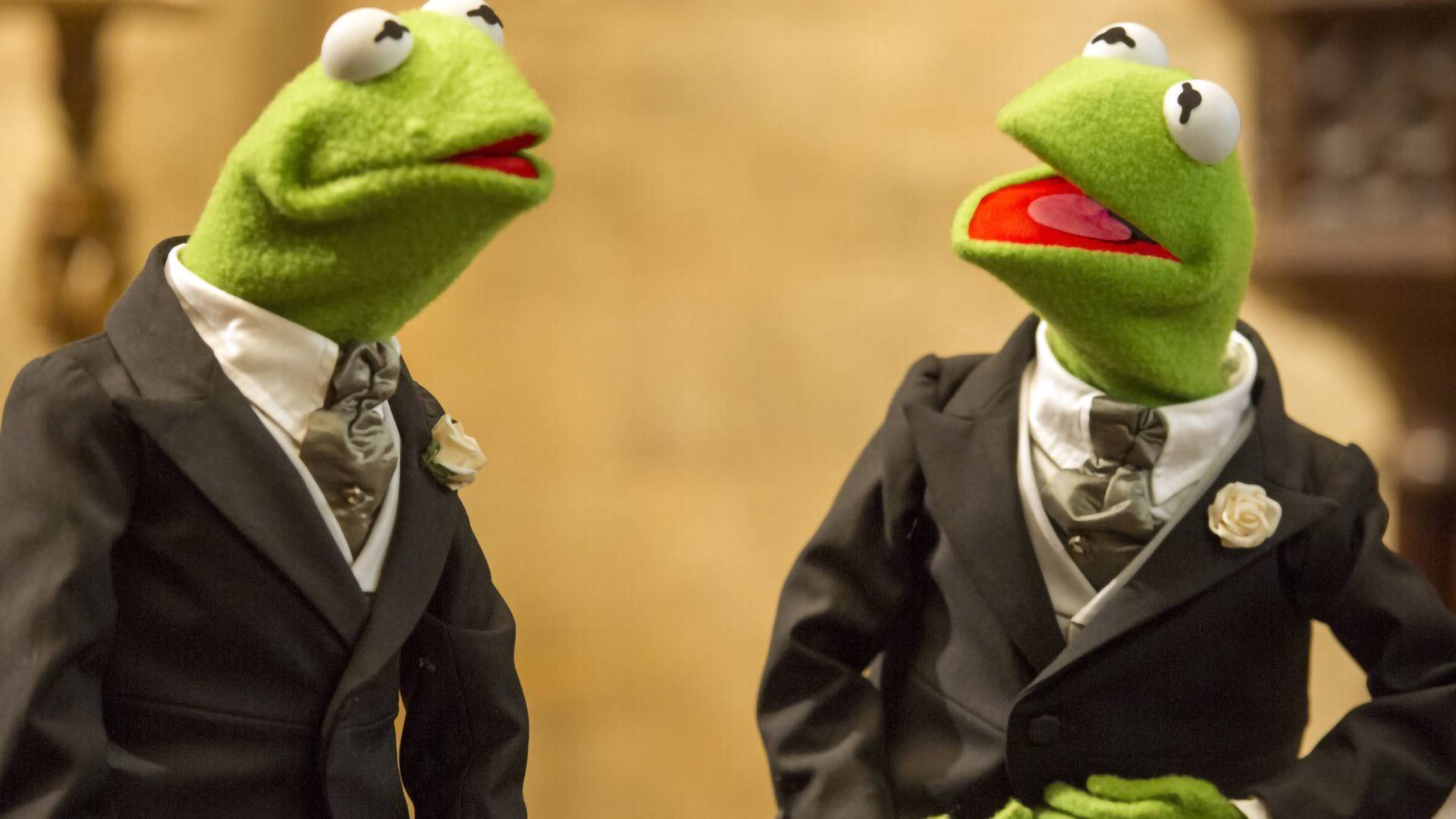 muppets 桌布 壁紙 — 兩隻相同的綠色青蛙木偶穿著相配的黑色燕尾服，佩戴白玫瑰，在溫暖模糊的背景前相對而立。