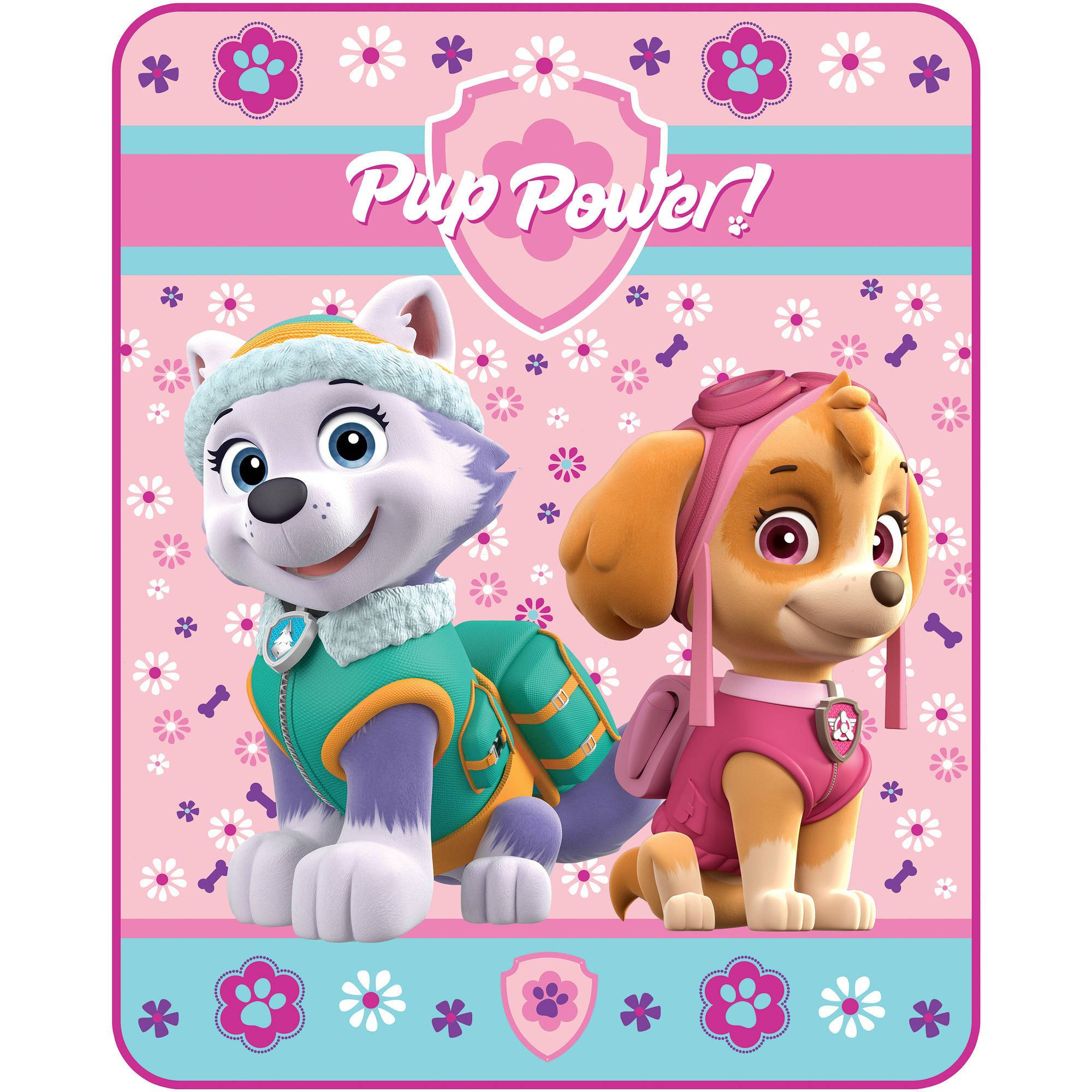 汪汪隊立大功 桌布 壁紙 — 兩隻穿著冬季服裝的開心Paw Patrol小狗坐在粉紅色花卉背景前，上面有「Pup Power!」字樣。