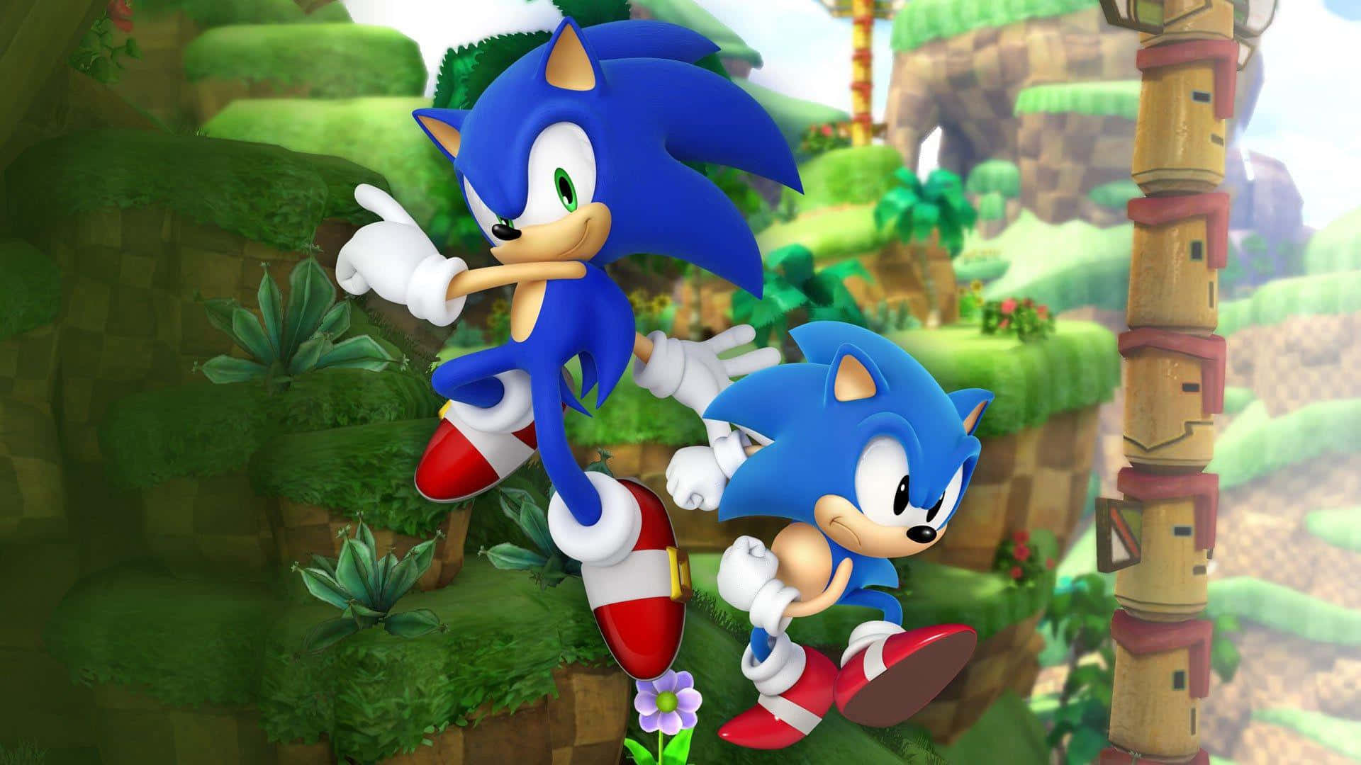 Sonic Generations 桌布 壁紙 — 兩隻穿著經典電玩服裝的藍色刺蝟跳過一個充滿茂密綠植和石頭廢墟的充滿活力的叢林。