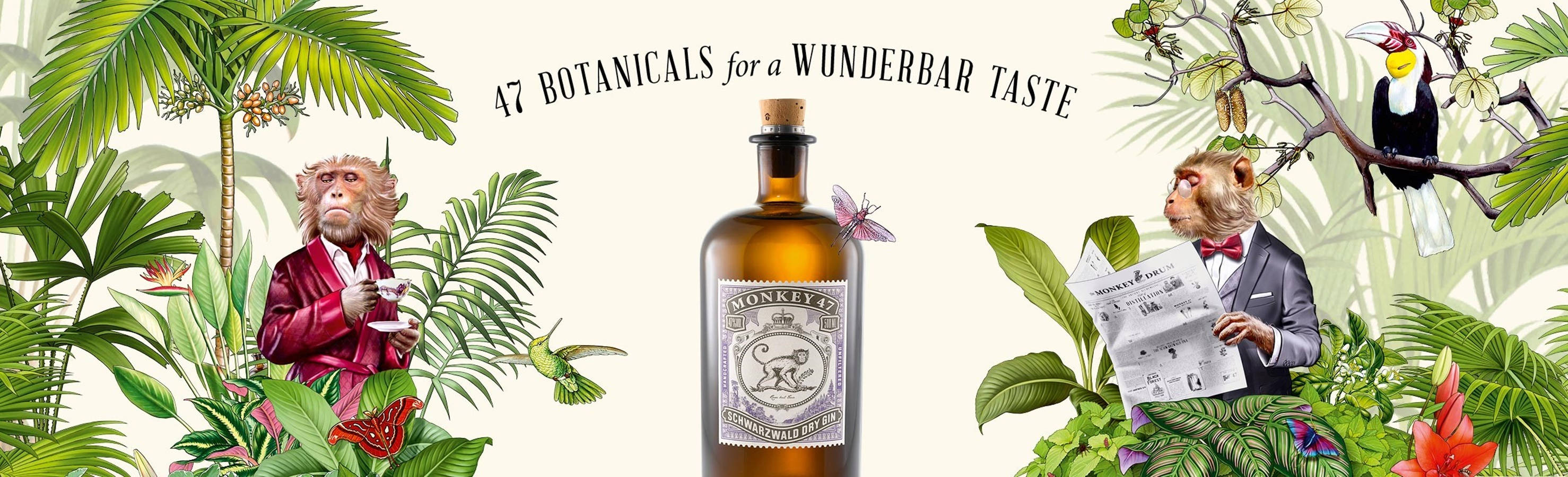 cocktail 桌布 壁紙 — 兩隻穿著西裝的擬人化猴子在茂密的熱帶植物中，一邊啜飲一邊閱讀，旁邊放著一瓶Monkey 47琴酒。