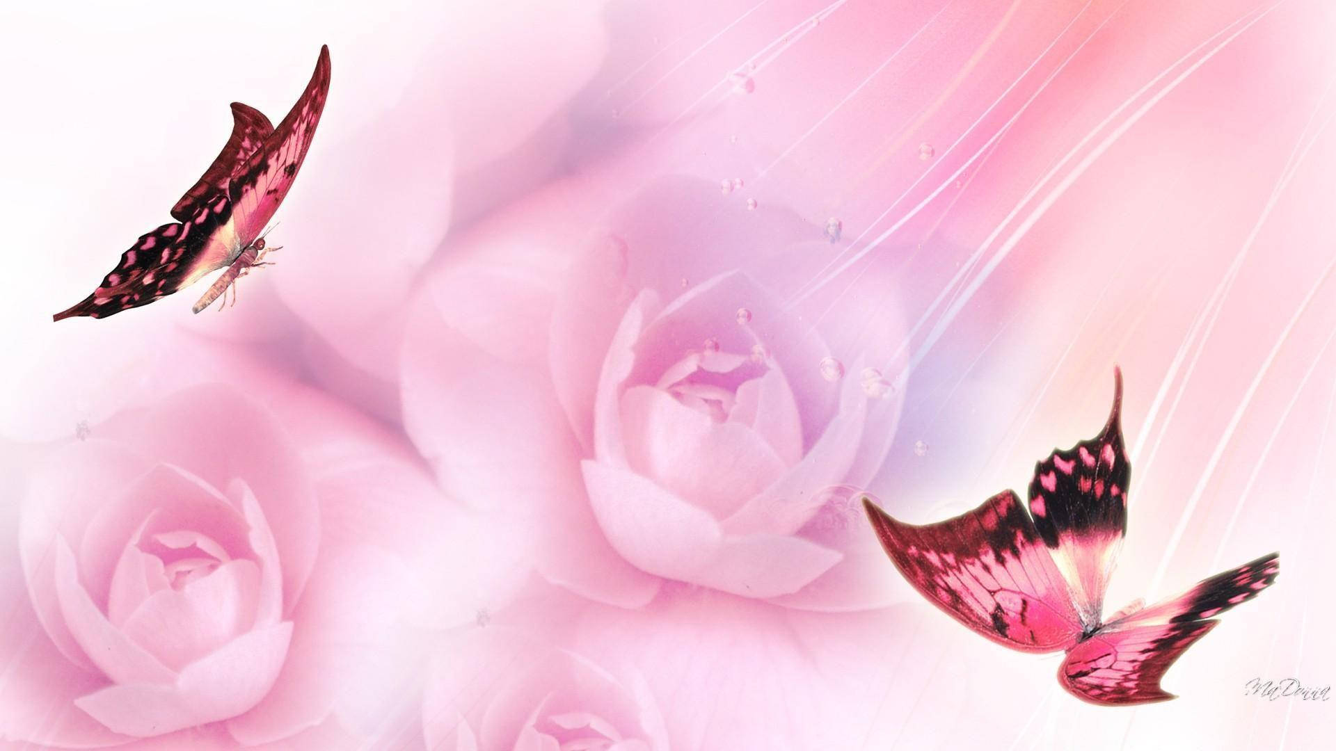 Pretty Pink 桌布 壁紙 — 兩隻粉紅色和黑色的蝴蝶在柔和模糊的粉紅色玫瑰中優雅地飛舞，帶有發光的光線條紋。
