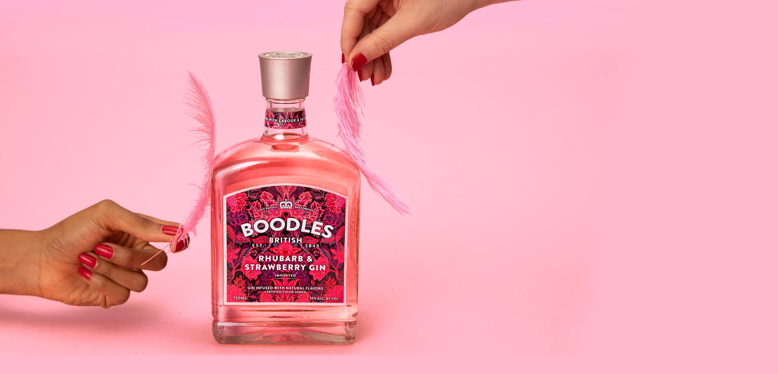 alcohol 桌布 壁紙 — 兩隻紅指甲的手在純粉紅色背景前，優雅地拿著粉紅色羽毛靠近一瓶Boodles Rhubarb & Strawberry Gin。
