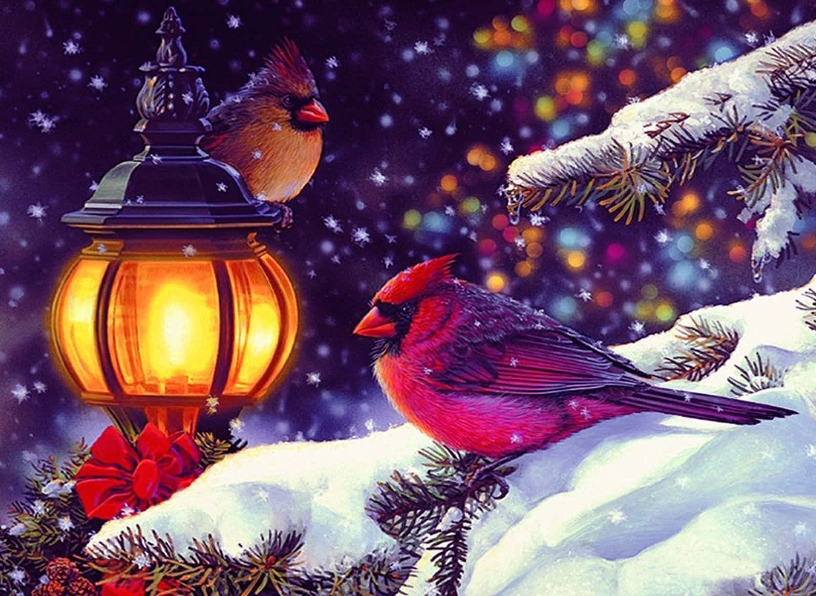 聖誕節 桌布 壁紙 — 兩隻紅衣鳳頭鳥棲息在積雪的松樹枝上，旁邊有一盞發光的燈籠，背景是飄落的雪花和節日的散景燈光。